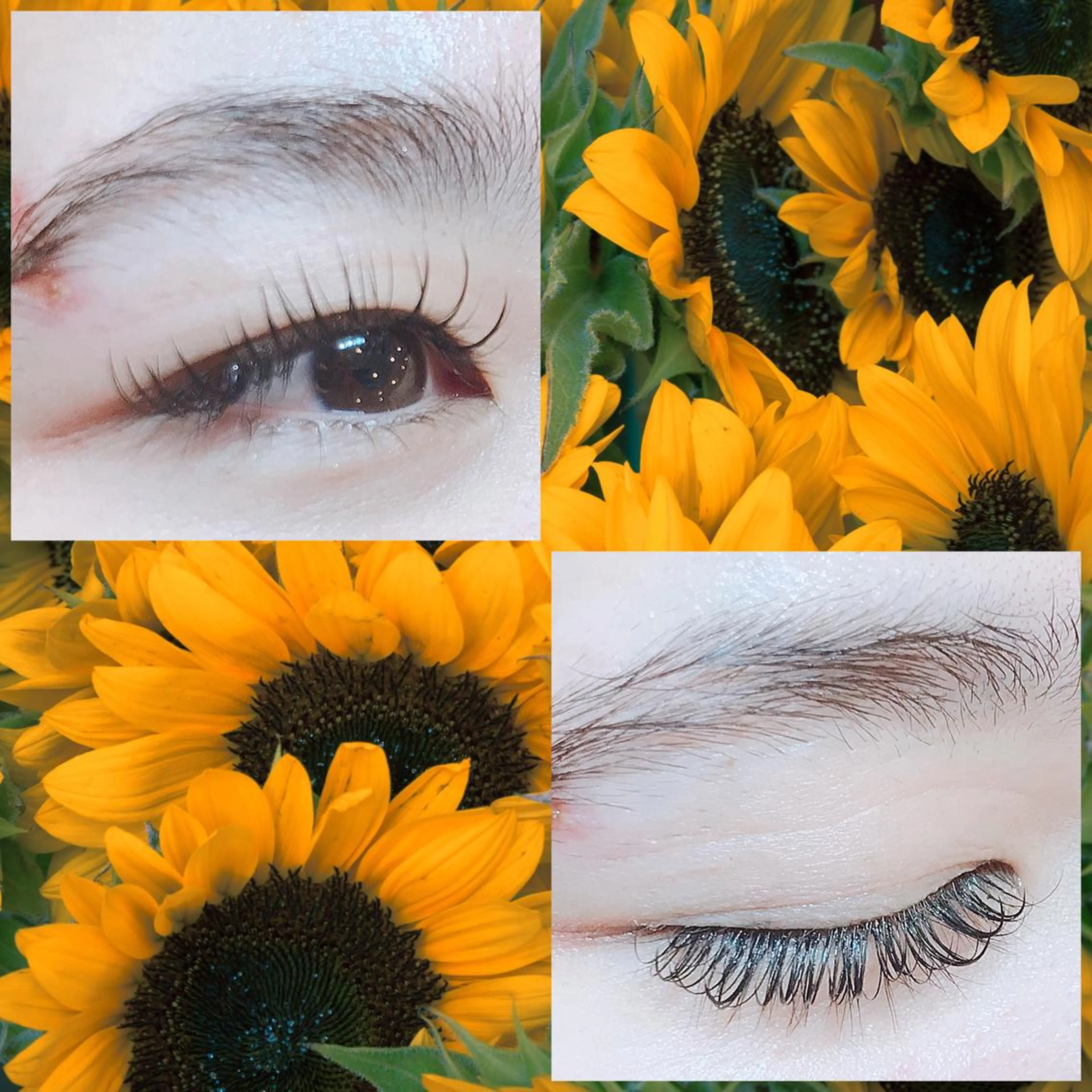 マツエク・マツパ 付け放題 フラットラッシュ マツエク Raviliss 武田のマツエク・マツパデザイン