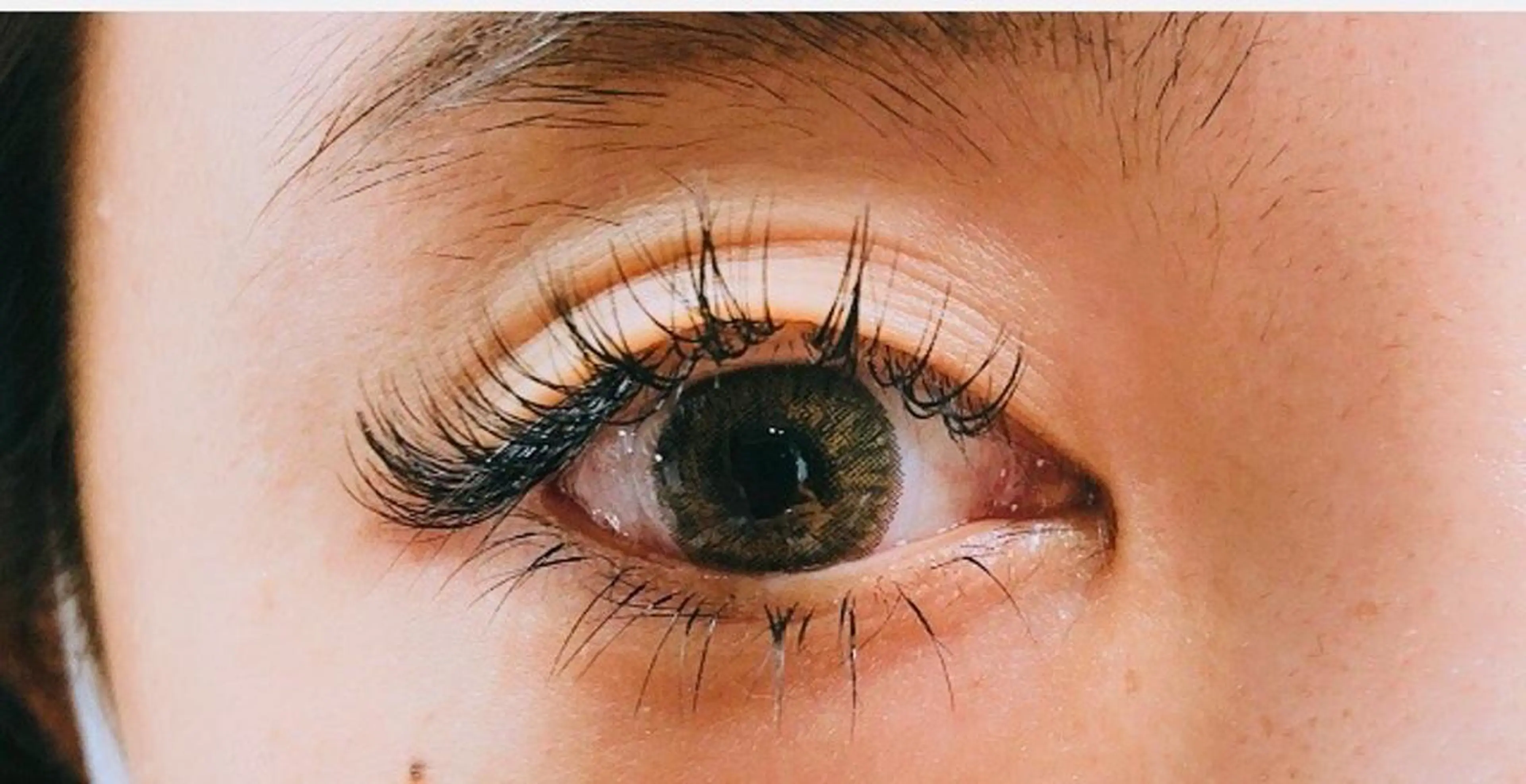 フラットラッシュ140本の写真