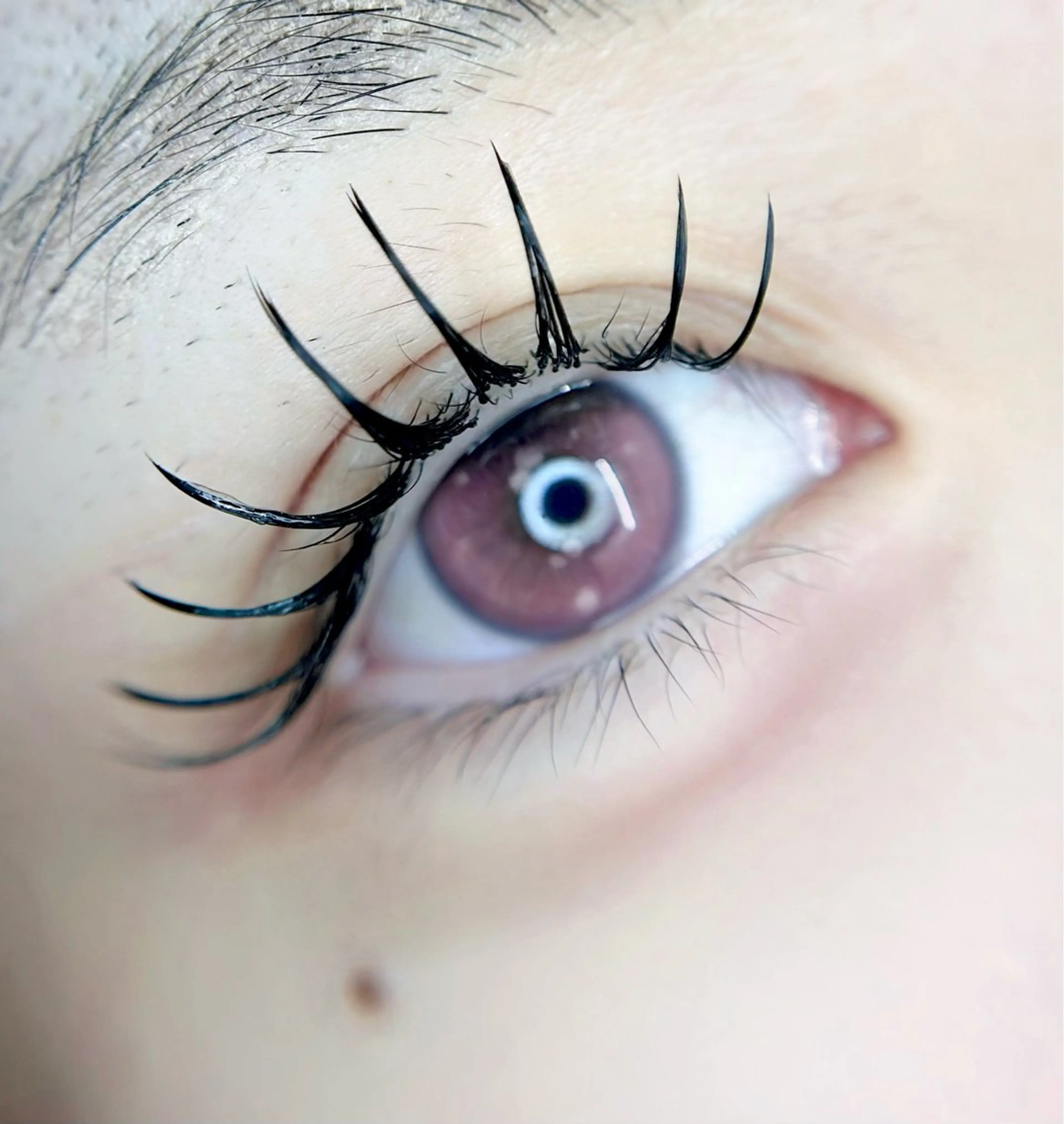 マツエク・マツパ 🎀eyelist. mizuki🐈‍⬛の眉毛・アイブロウイメージ