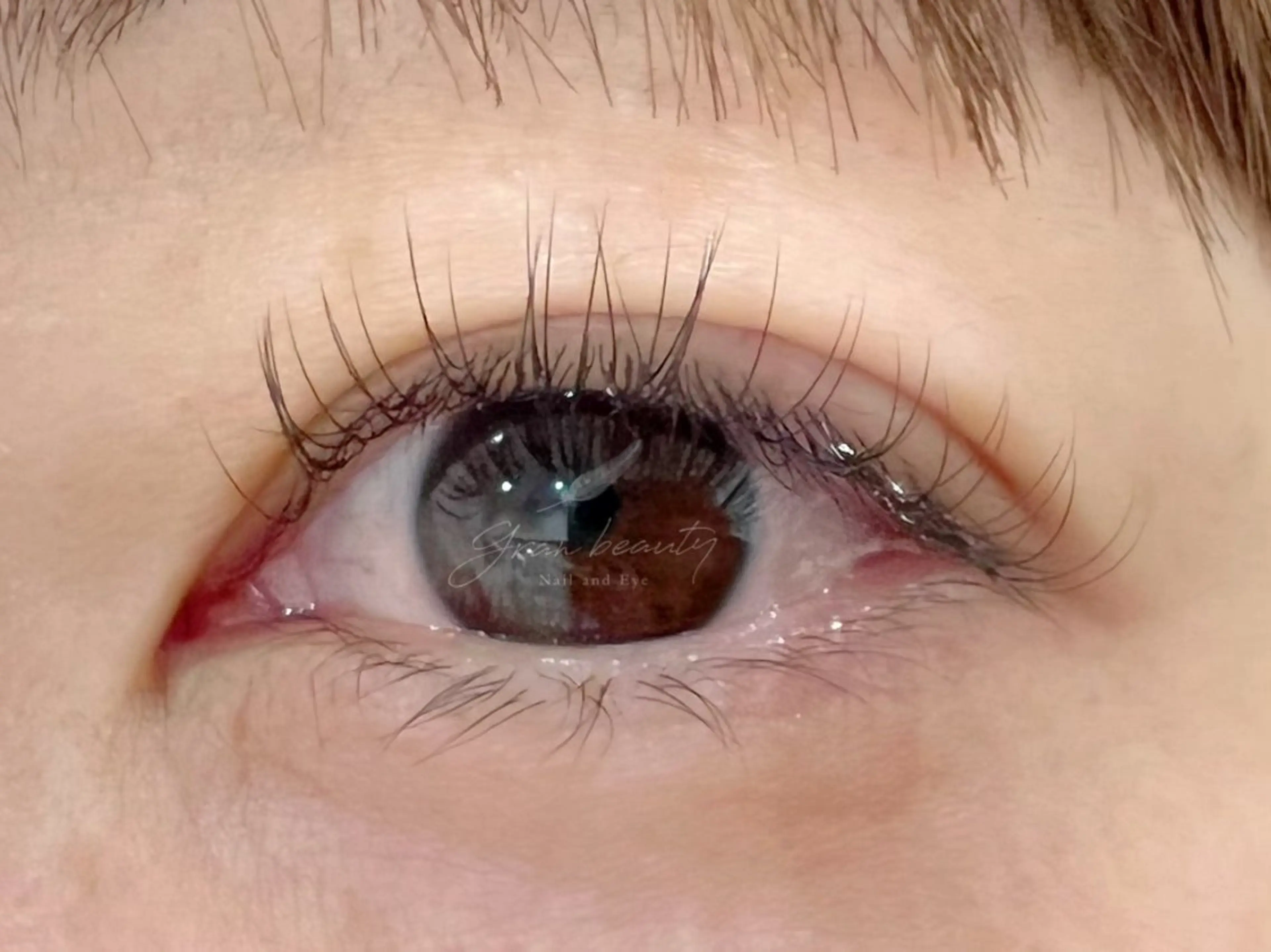 🌿 シングルラッシュ 80本 🌿の写真