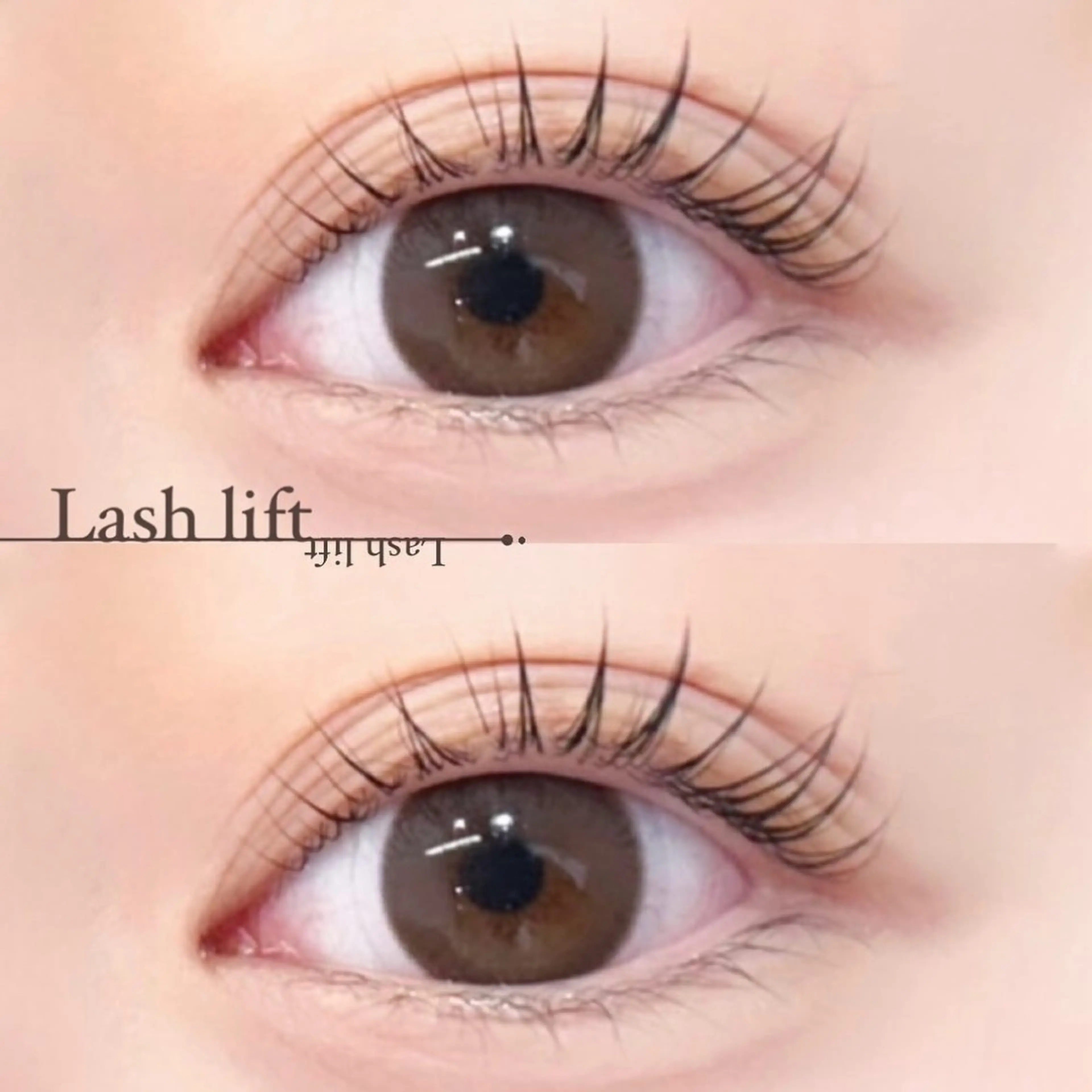 マツエク・マツパ ISLAND 鎌倉所属・island鎌倉🖤 Fukunagaのマツエク・マツパデザイン