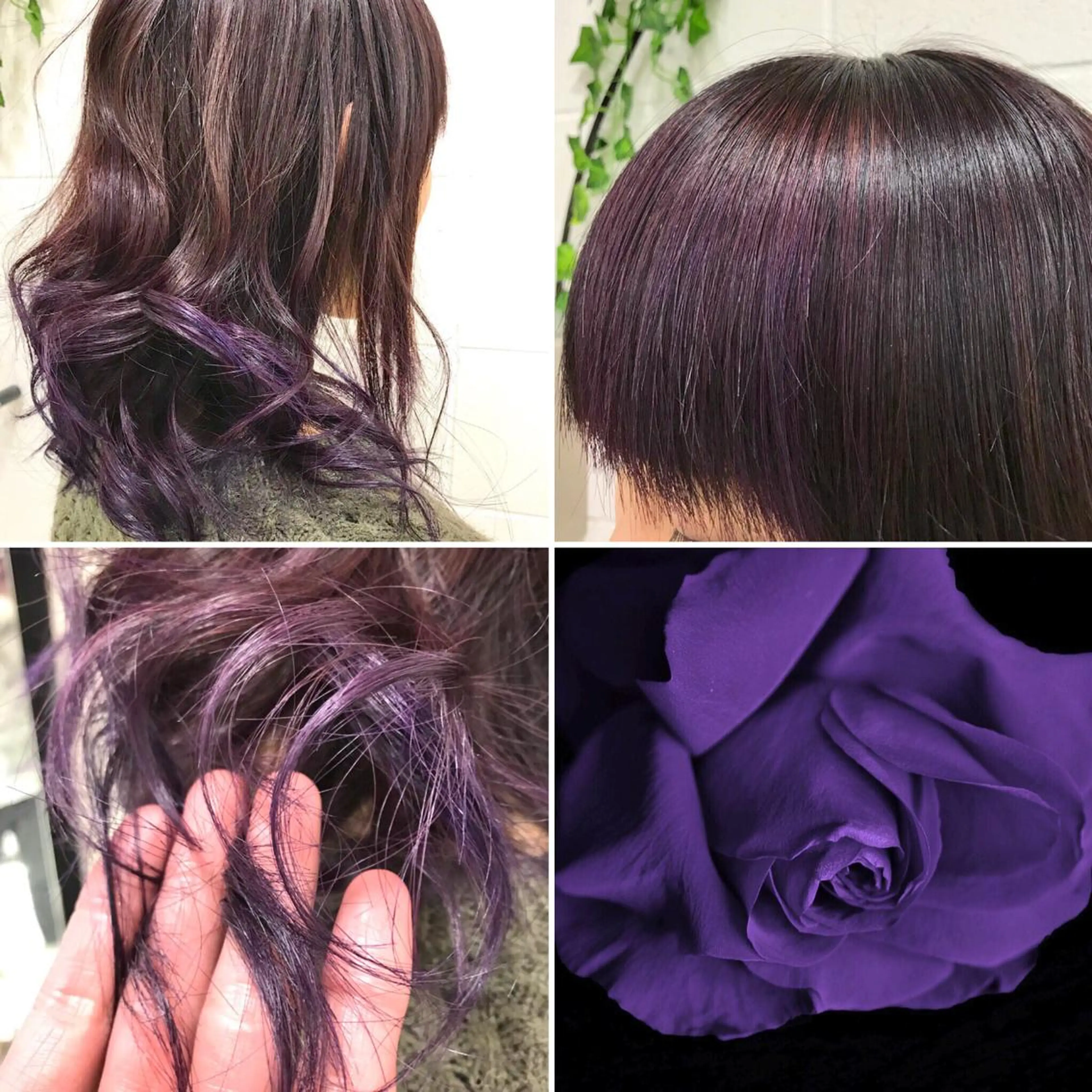 セミロング カラー ブリーチ ブラウンカラー グラデーションカラー ハイライトカラー ピンクカラー ヘアカラー トリートメント 🌈推し色派手髪 ハイトーンShinのヘアスタイル