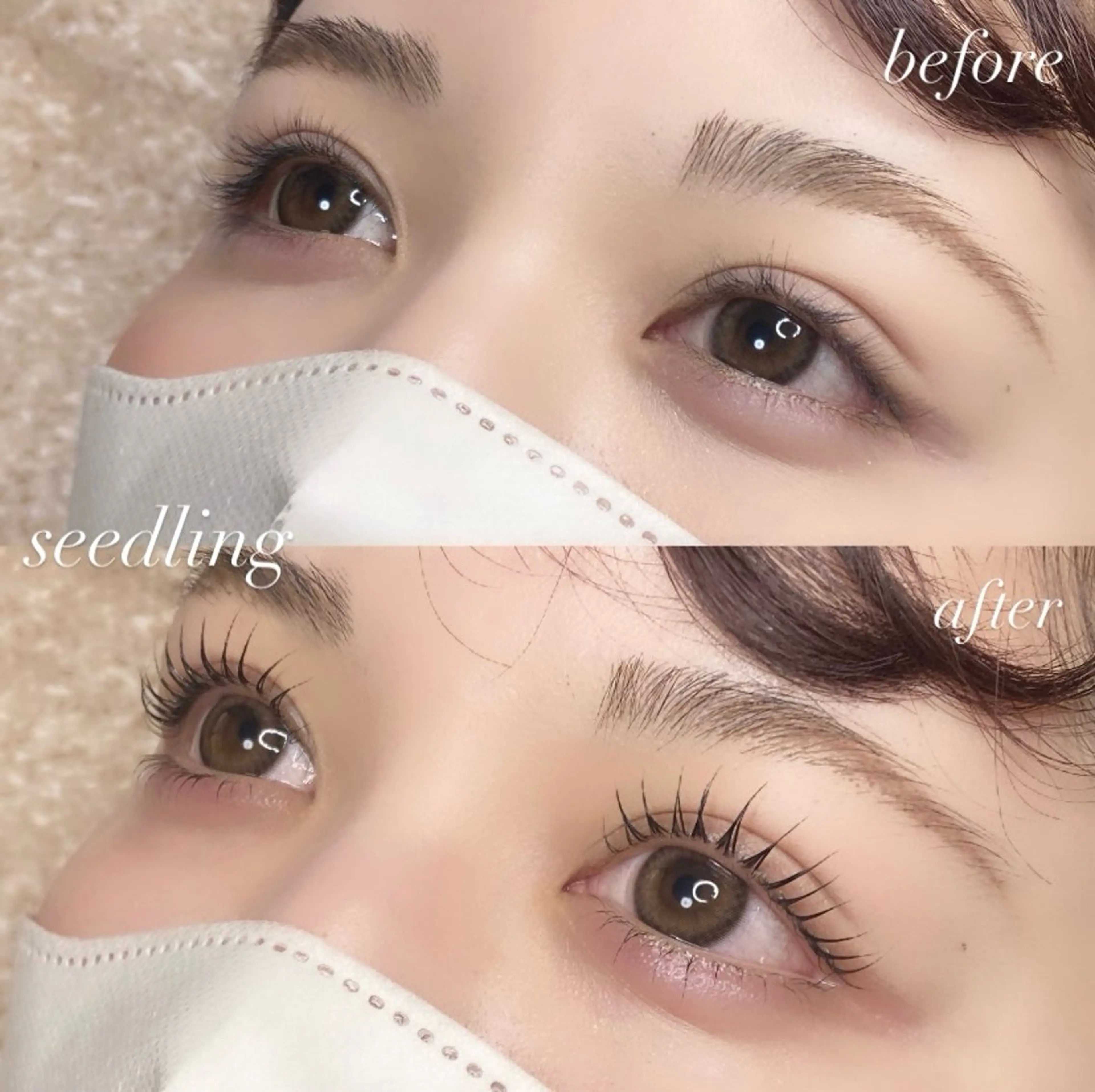 マツエク・マツパ まつげパーマ 下まつげエクステ シードリン 府内店 杉田のマツエク・マツパデザイン