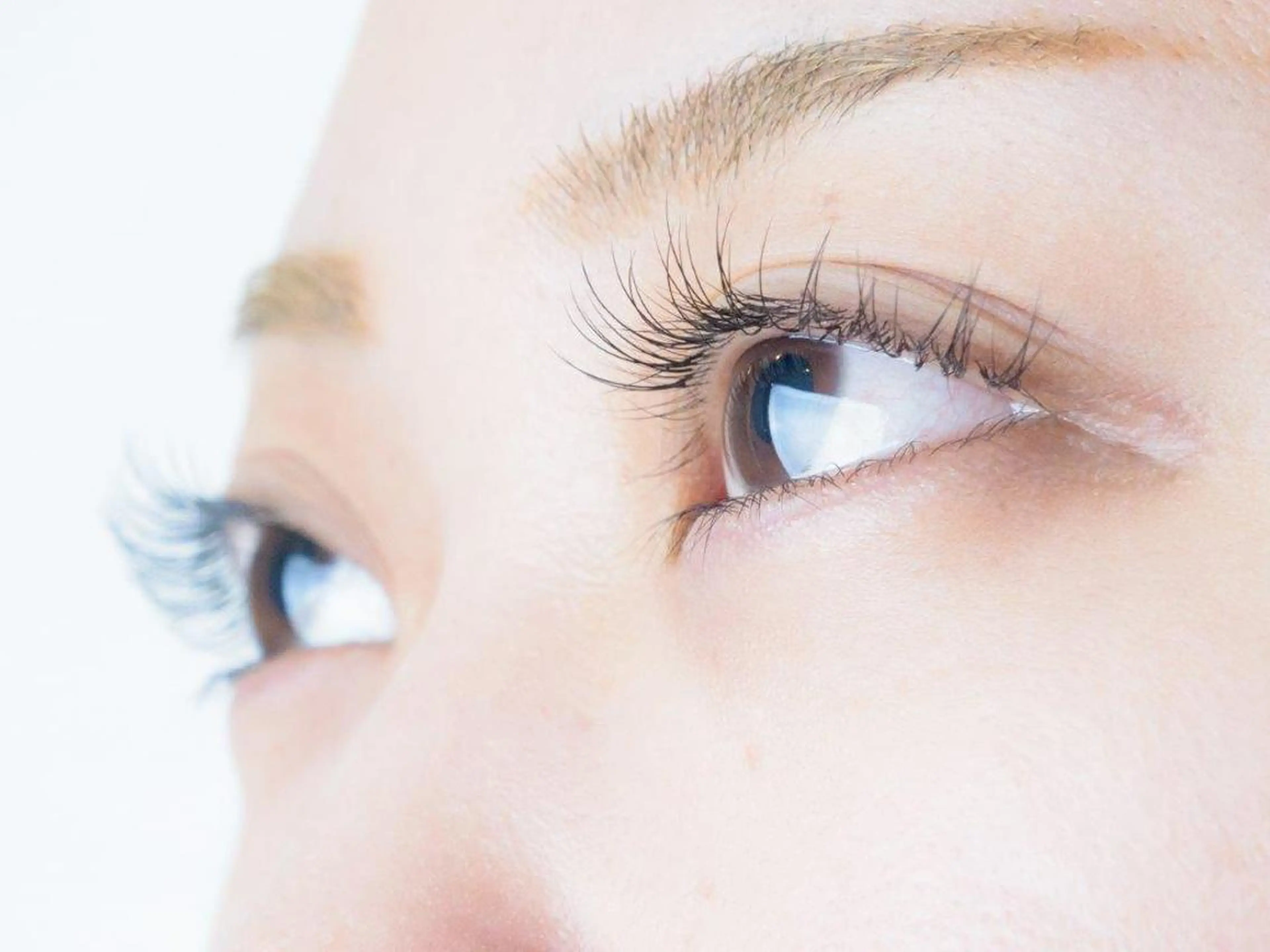 マツエク・マツパ マツエク Lupines 🌼Ruri🌼のマツエク・マツパデザイン