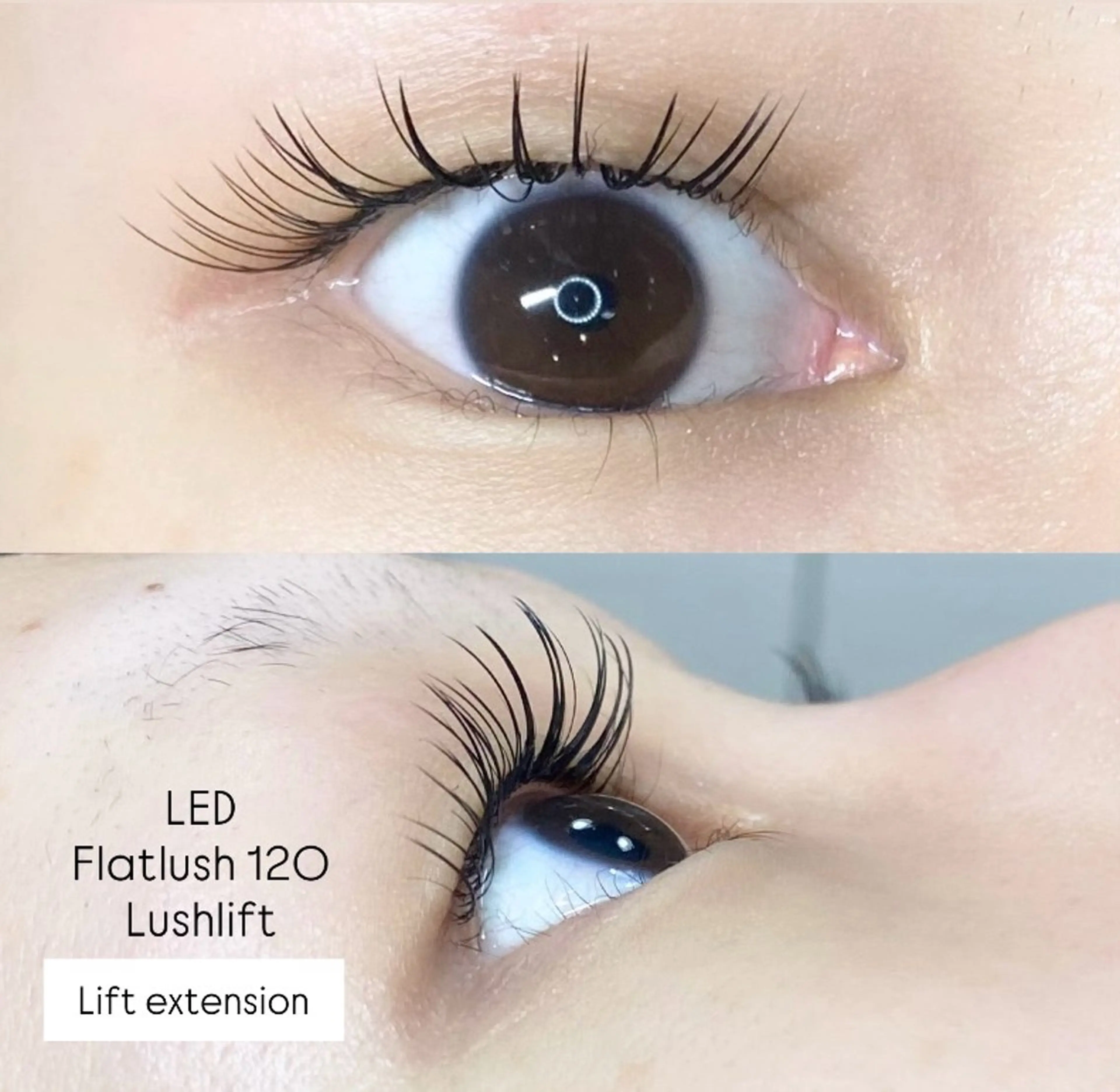 マツエク・マツパ LEDエクステ専門店 Fedis 京橋のマツエク・マツパデザイン