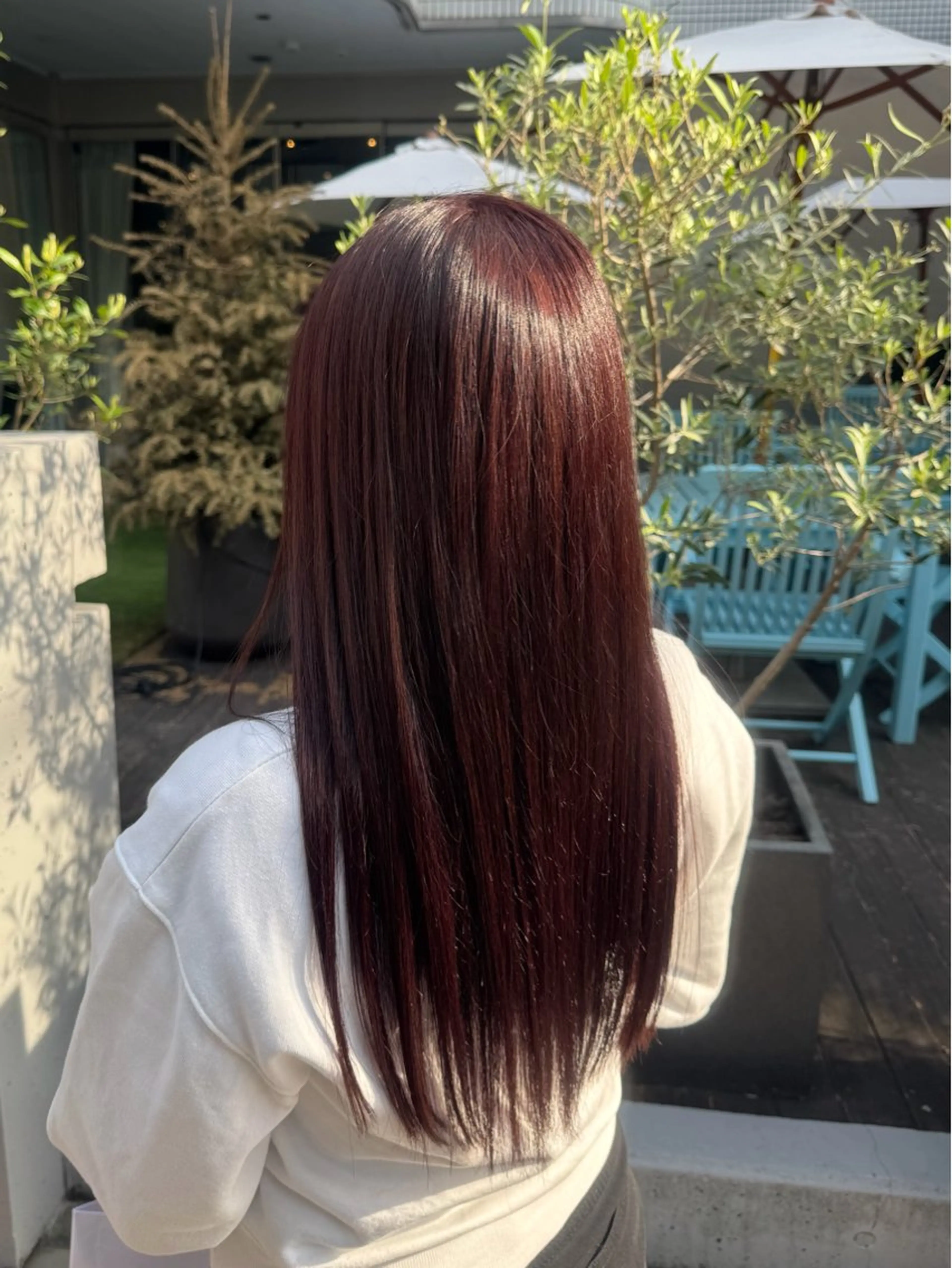 【モデル様募集❣️】カラーモデル🥣´-の写真
