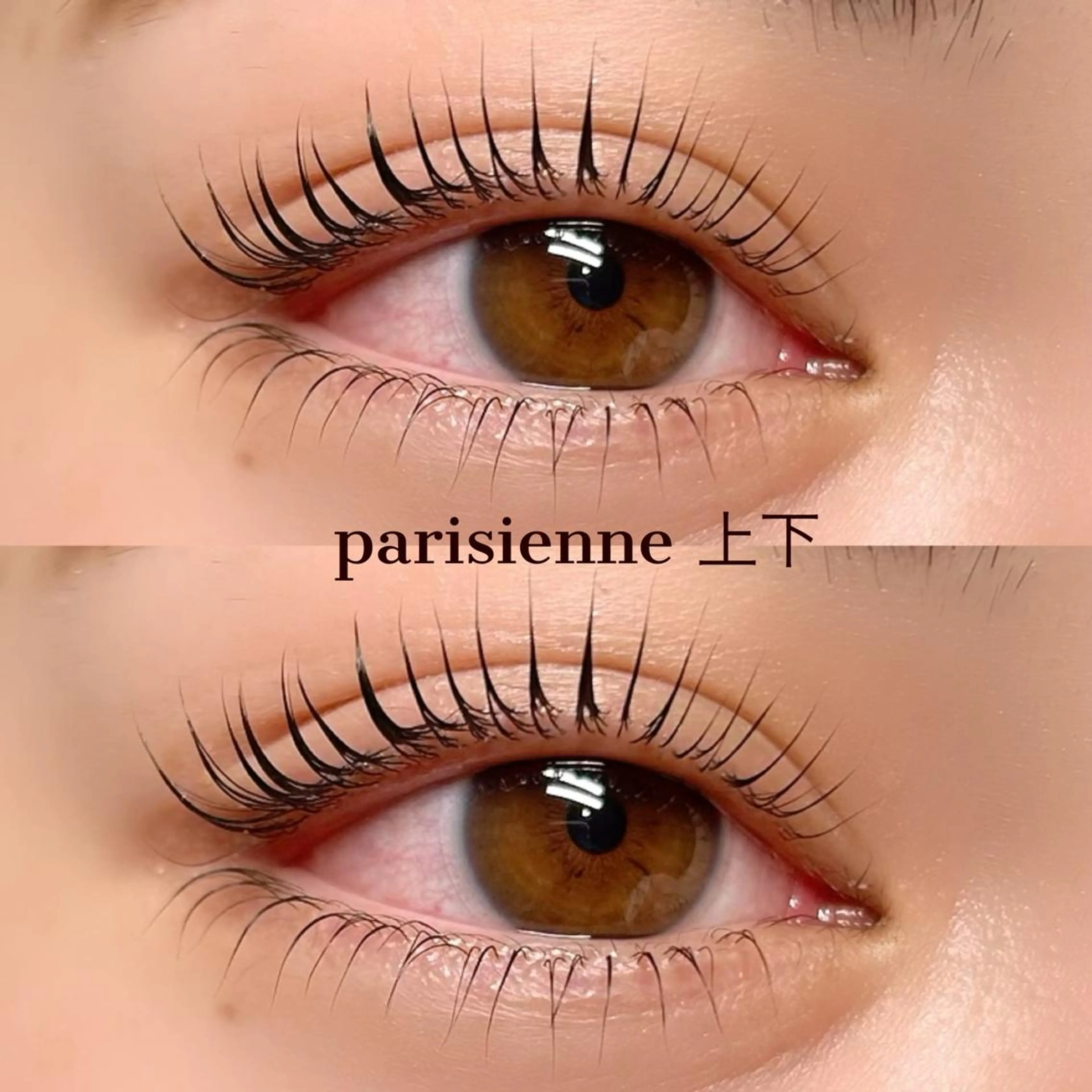 マツエク・マツパ マツパ Elle　Charme所属・Elle Charmeのマツエク・マツパデザイン