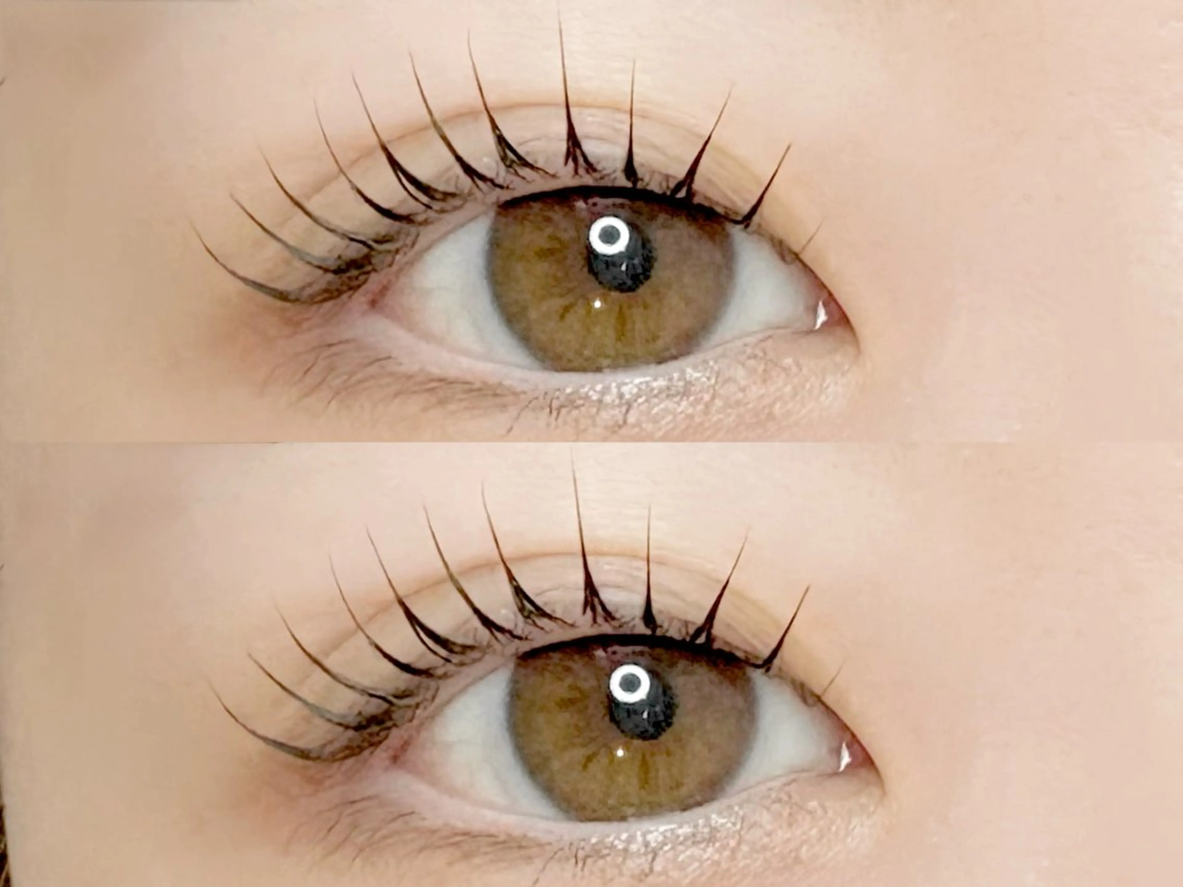 マツエク・マツパ パリジェンヌラッシュリフト マツパ Chisato🤍池 袋/マツパ/マツエクのマツエク・マツパデザイン