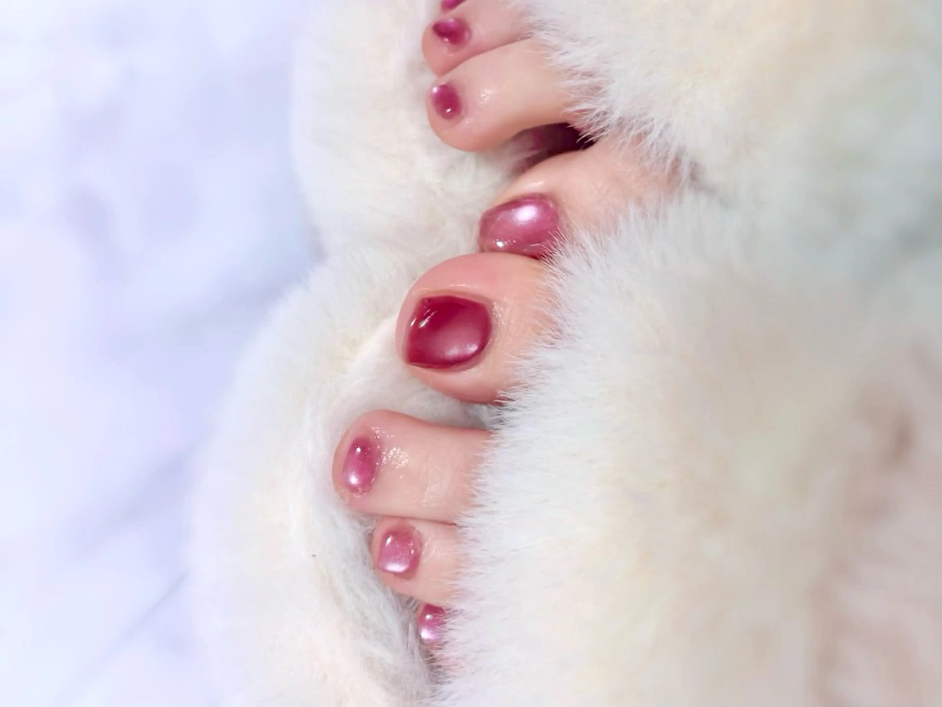 【練習モデル】フット マグネットの写真