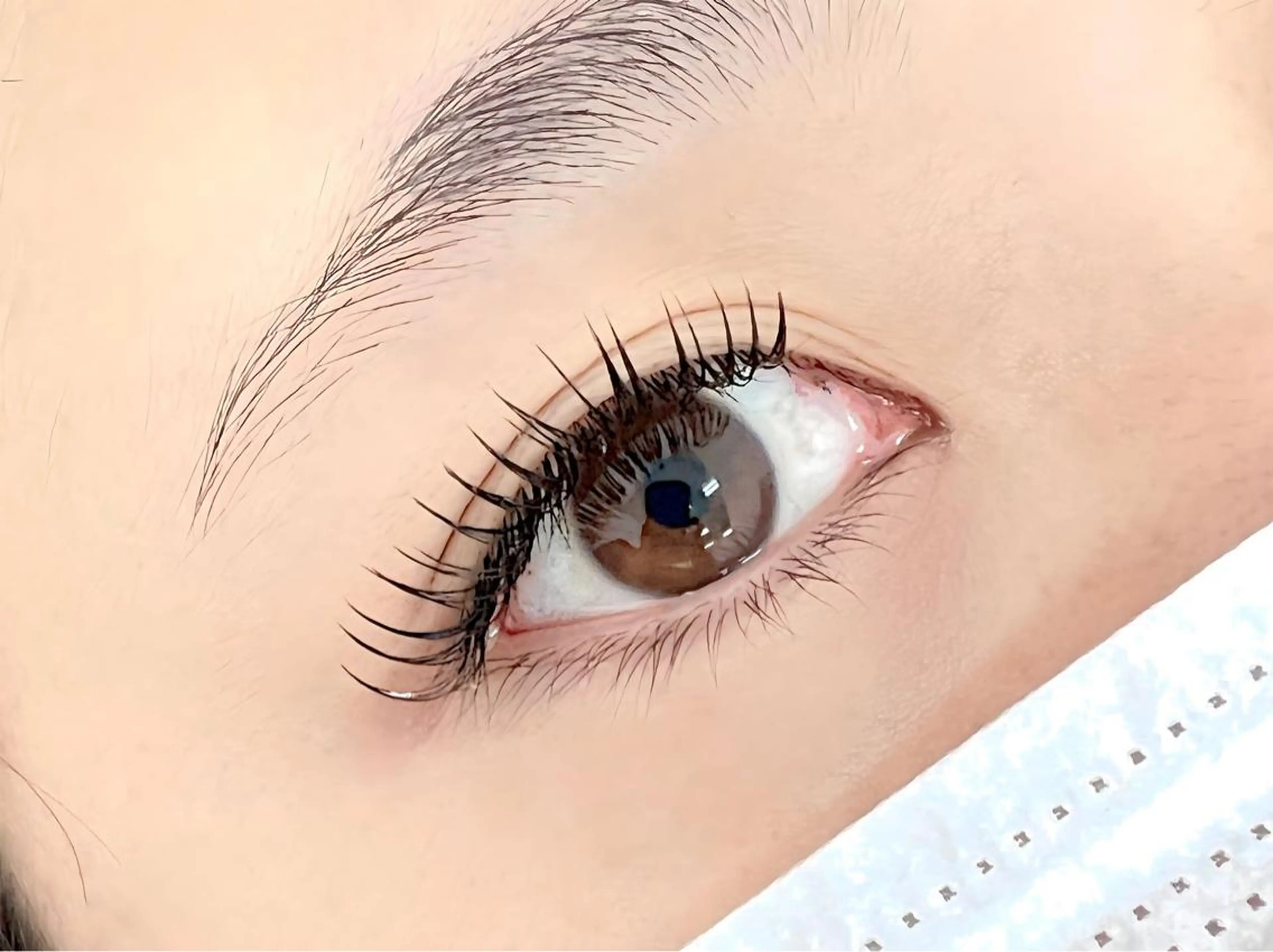 【モチの良さ💯】フラットマットラッシュ80本￥5500→￥4500※初回価格⭐️の写真