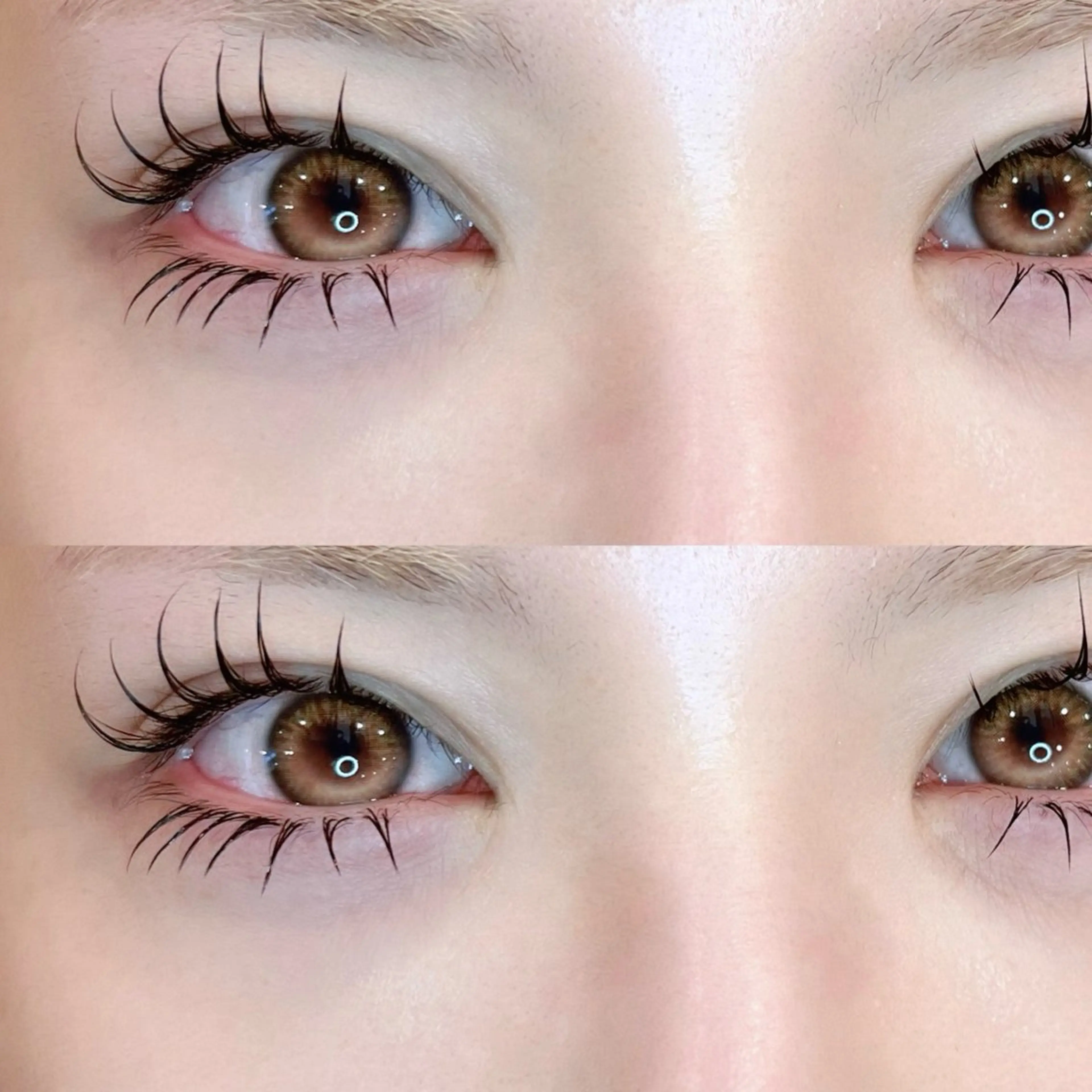 下まつげエクステ 付け放題【目安40～45本】の写真