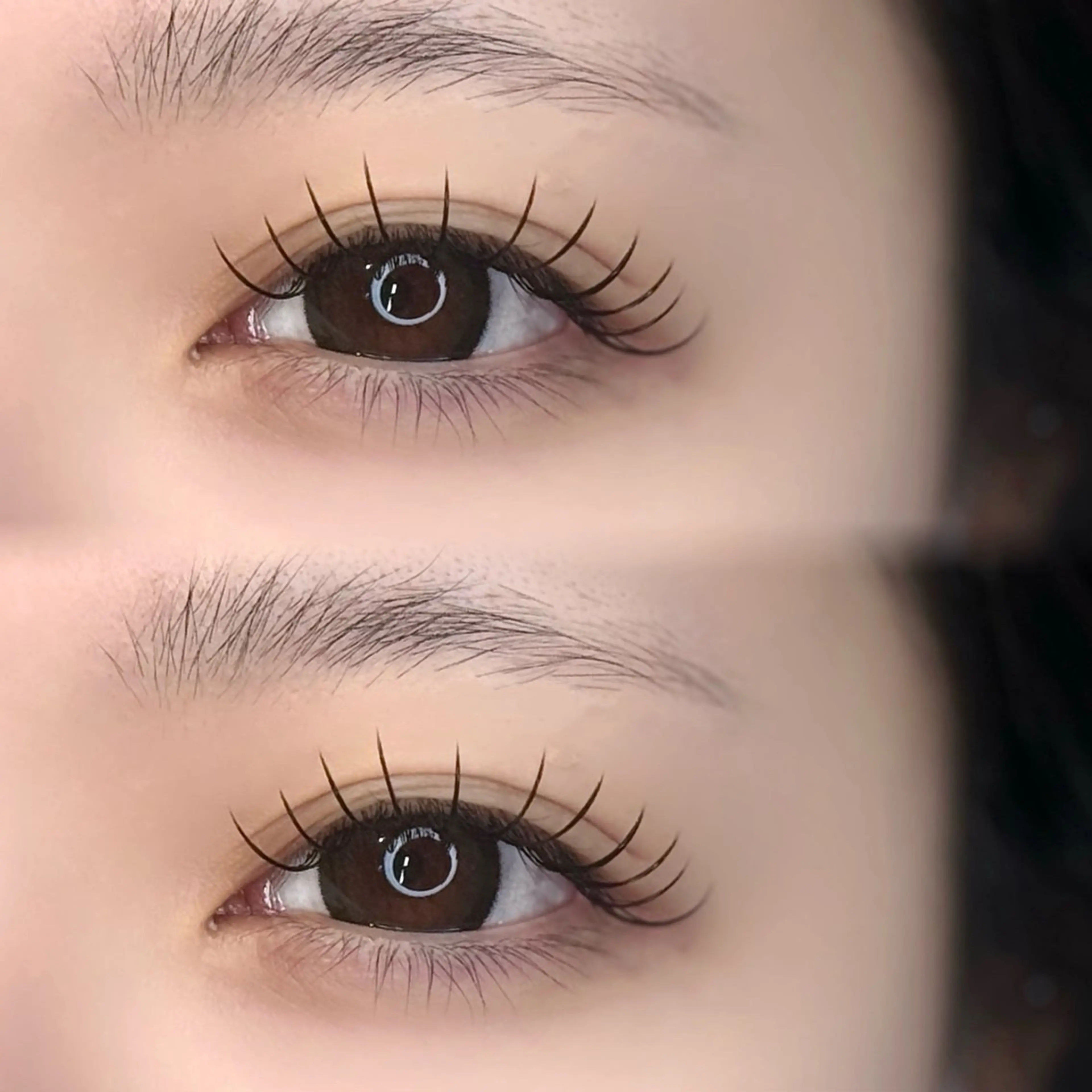 【初回オフ無料🫧】🎀フラットラッシュ100本🎀¥6600➪¥4950の写真