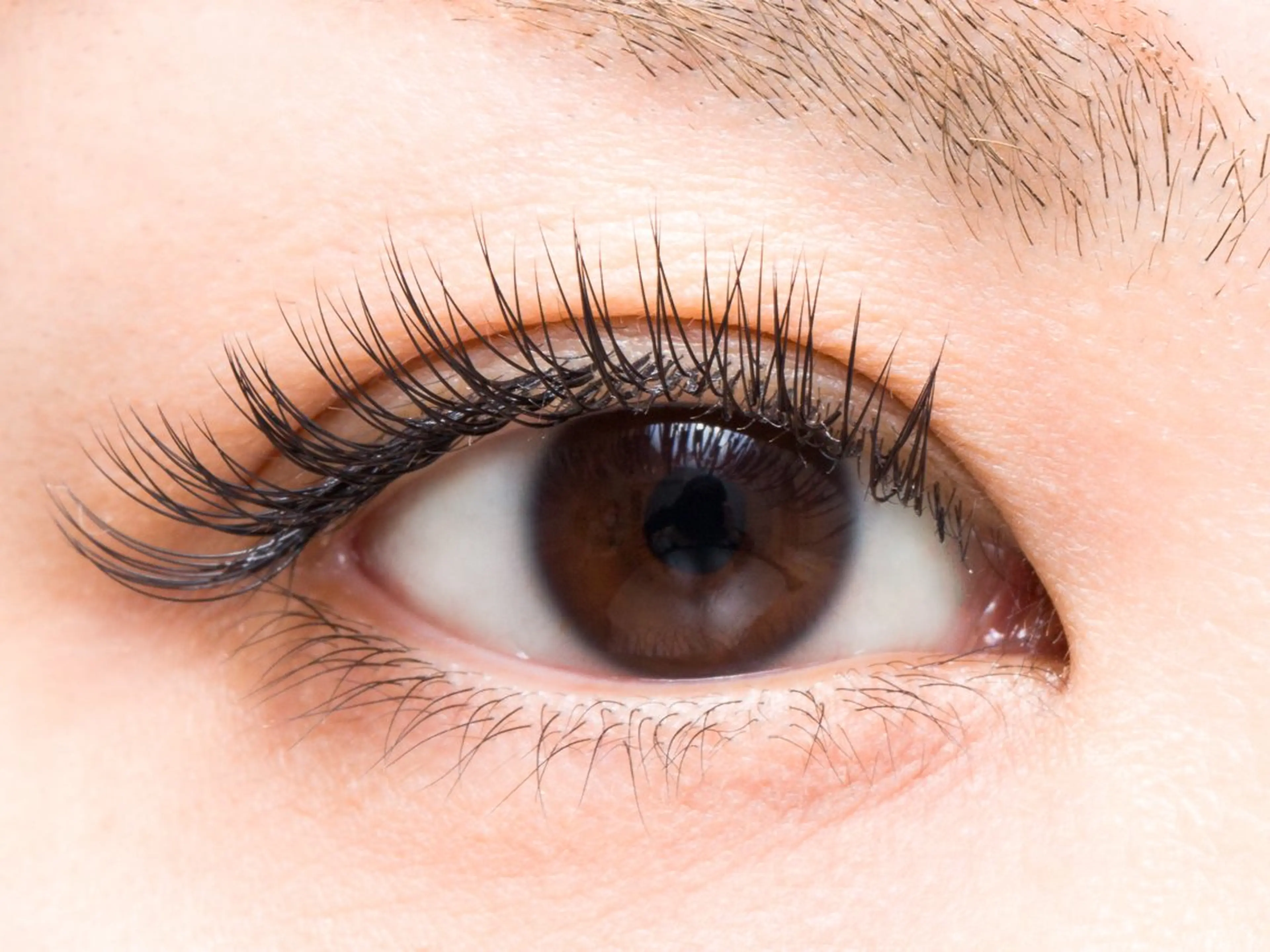 マツエク・マツパ マツエク Spica eyelashのマツエク・マツパデザイン