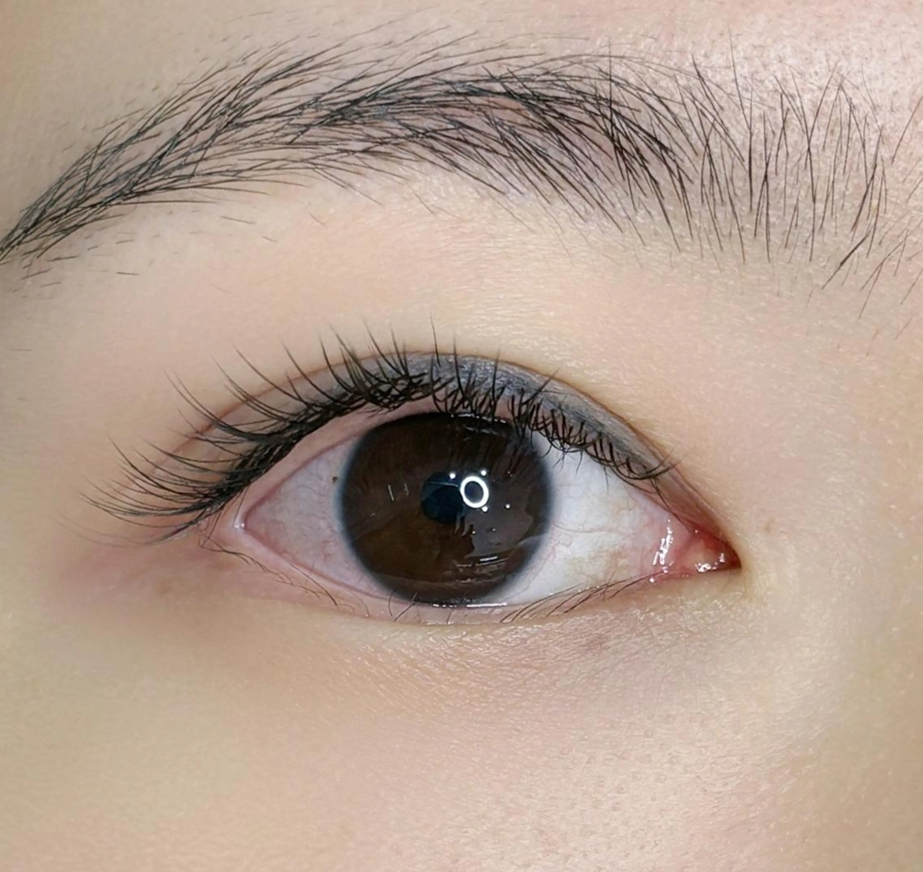 マツエク・マツパ ワンホンデザイン 専門店 FOIのマツエク・マツパデザイン