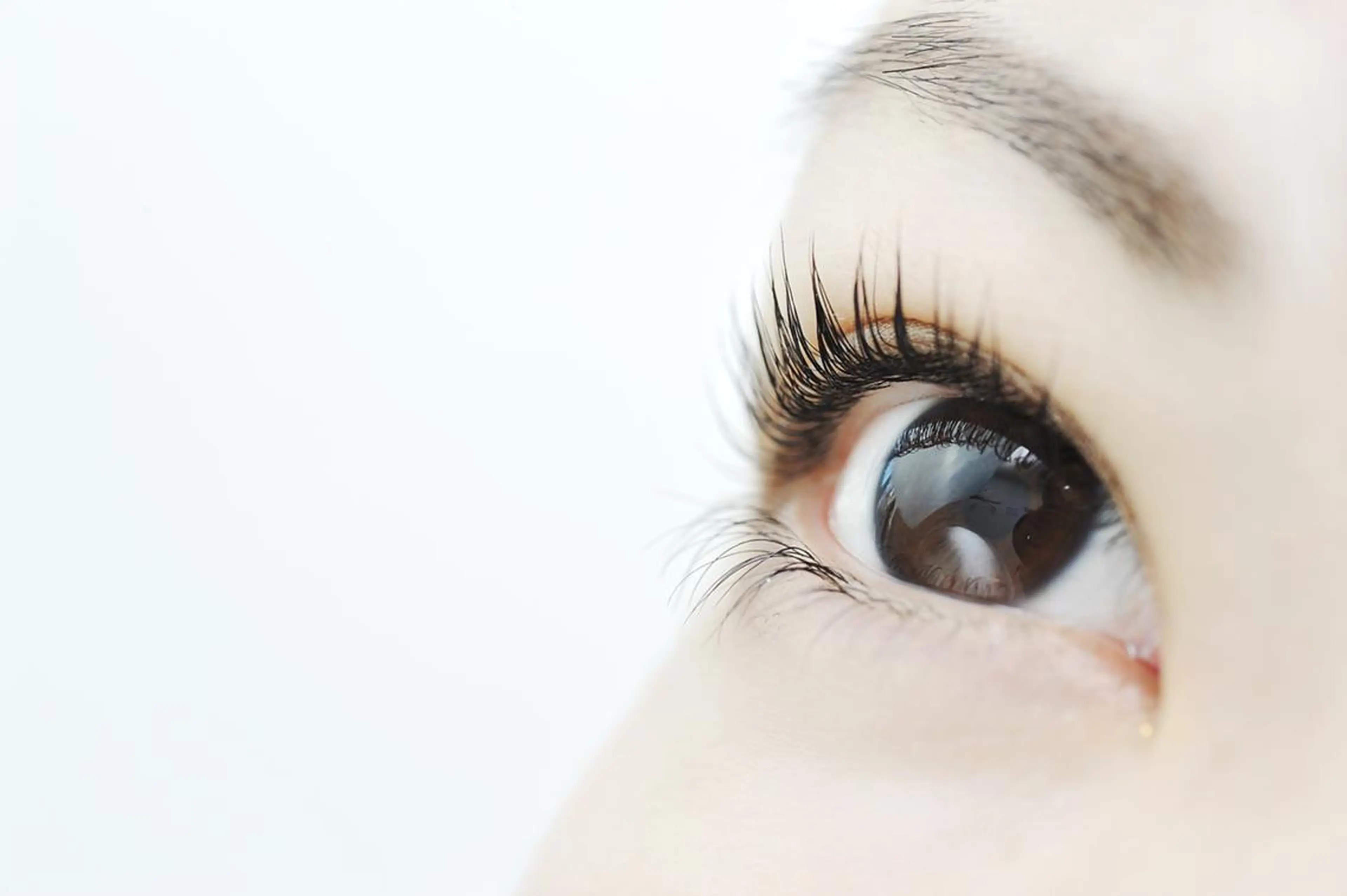 マツエク・マツパ Natural  ViVi大阪梅田店の眉毛・アイブロウイメージ