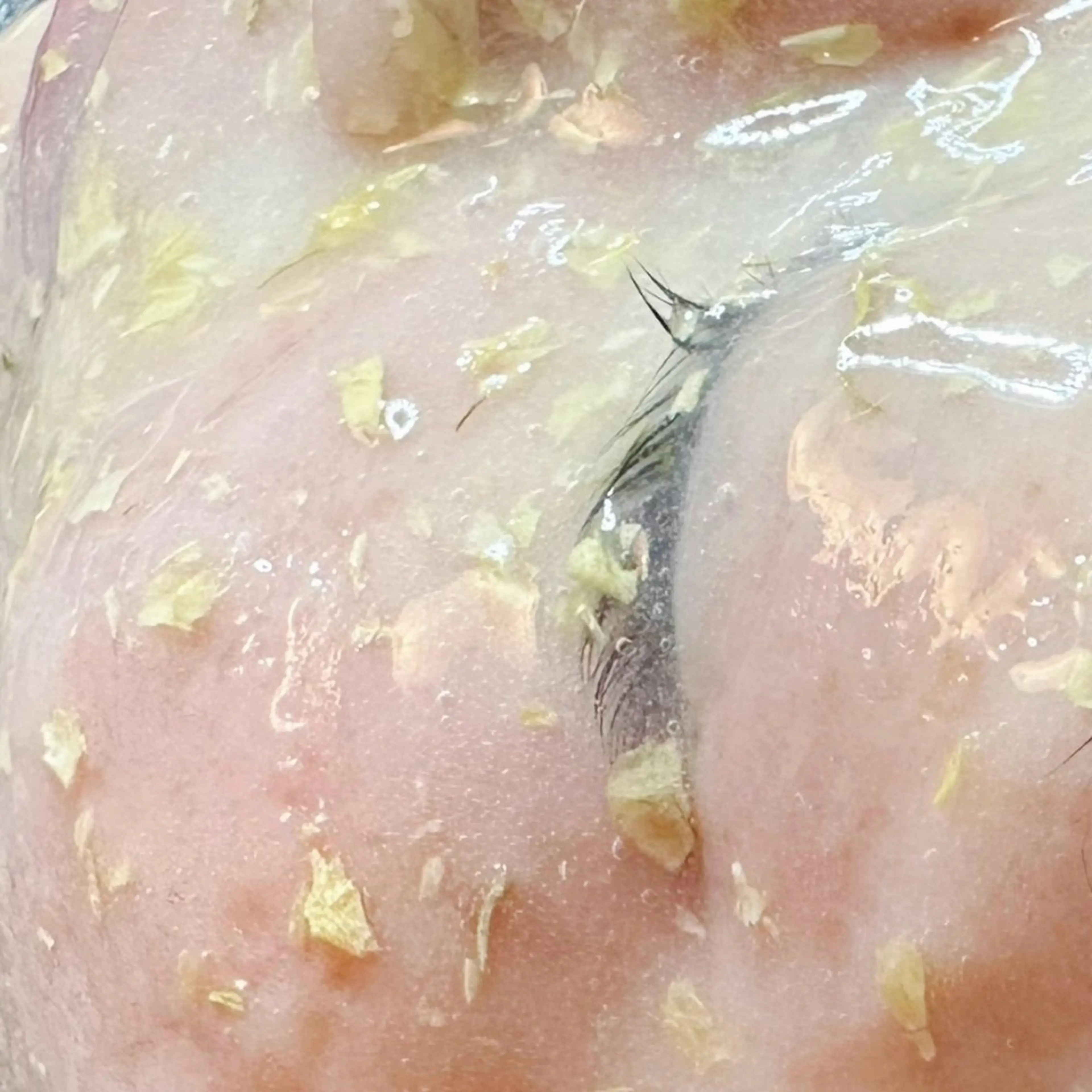 Hitomi シュガーリング豊橋のその他イメージ