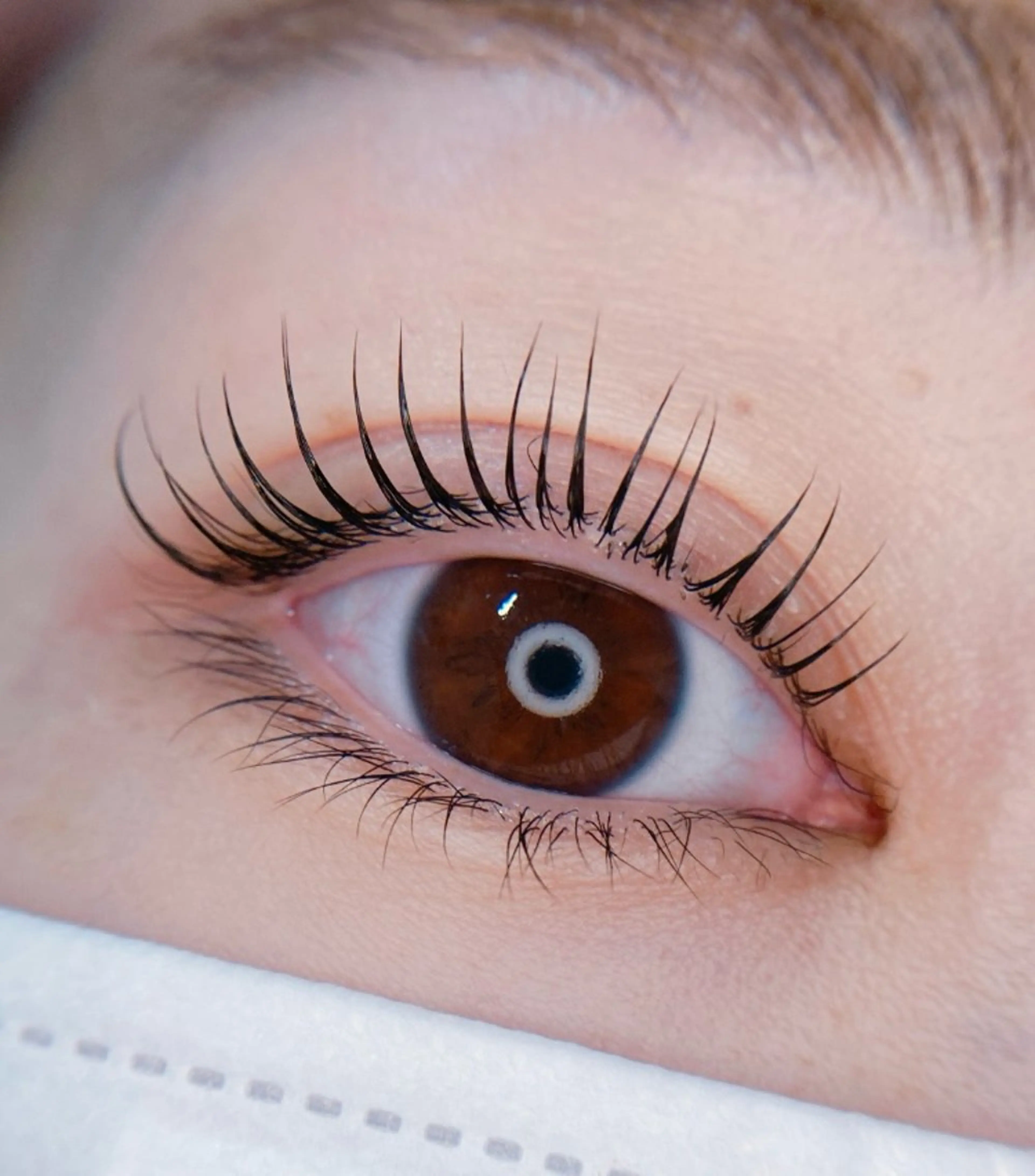 ⚠️土日不可✨まつげパーマ❤️上のみの写真