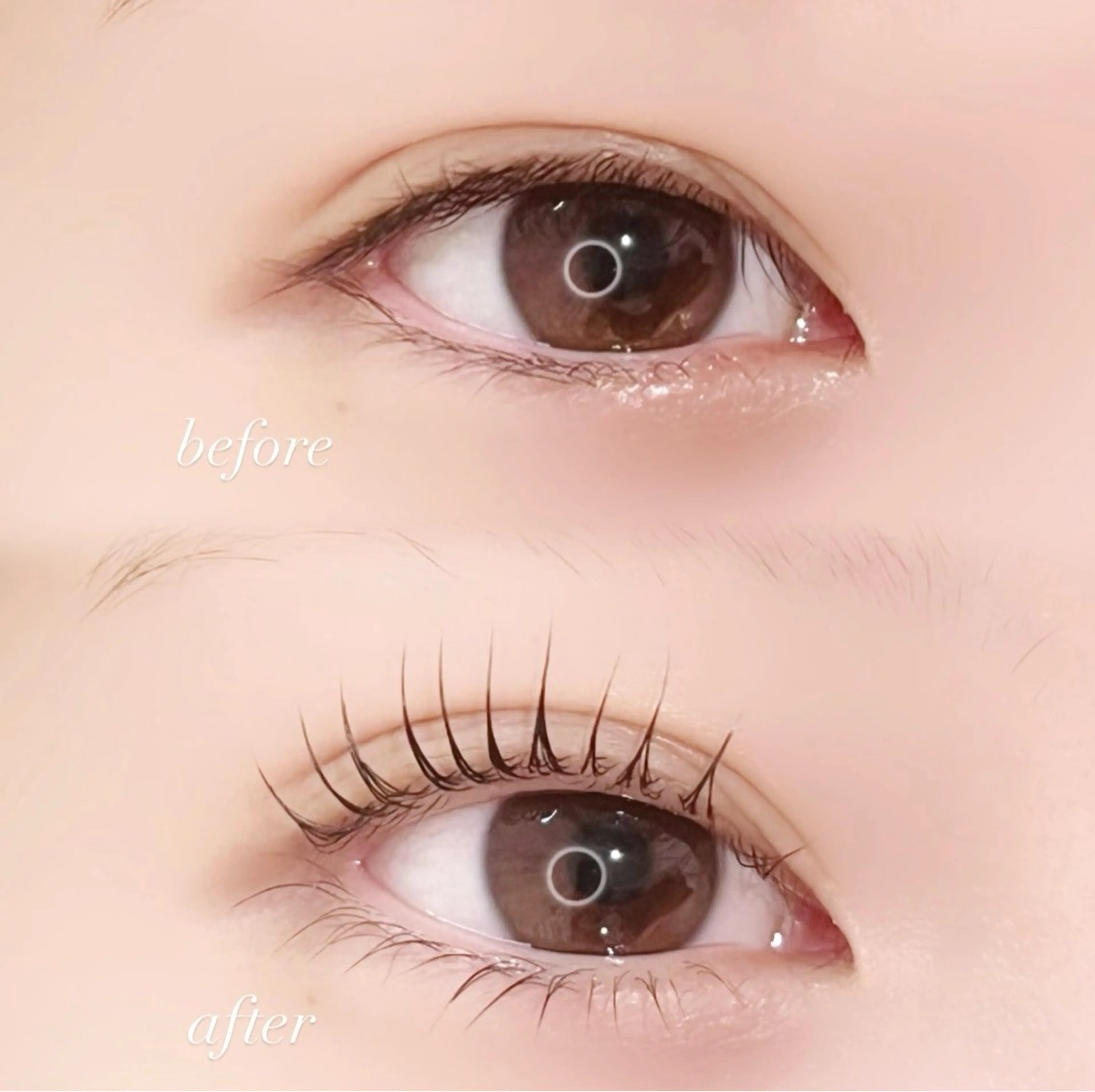 マツエク・マツパ miyu¦マツエク¦ まつパ¦眉毛¦立川のマツエク・マツパデザイン