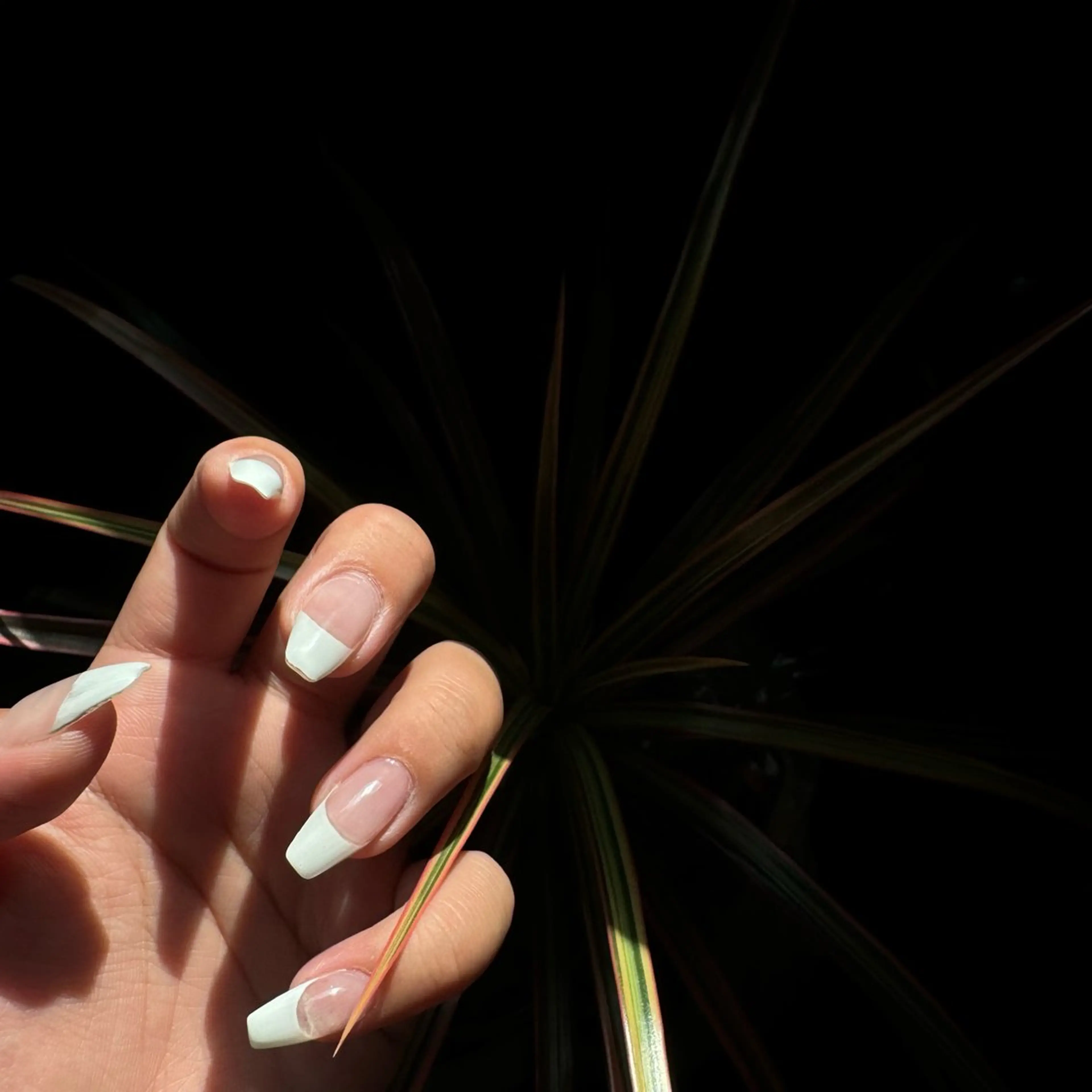 ネイル フレンチネイル nail salon niuのネイルデザイン