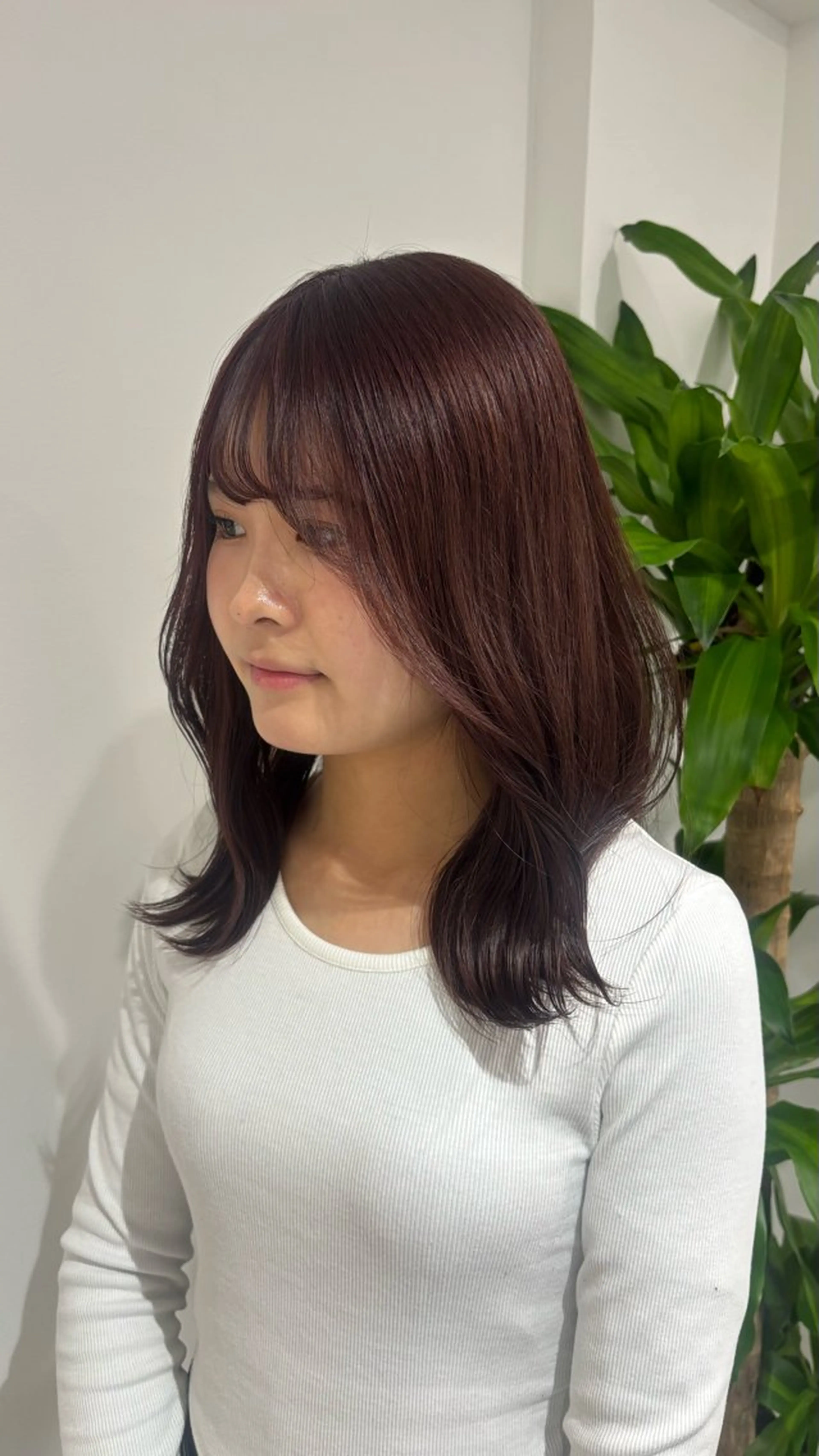 セミロング カラー アッシュ アッシュグレー アッシュグレージュ ベージュカラー ブリーチ レイヤーモデル 募集中🕊️正源のヘアスタイル