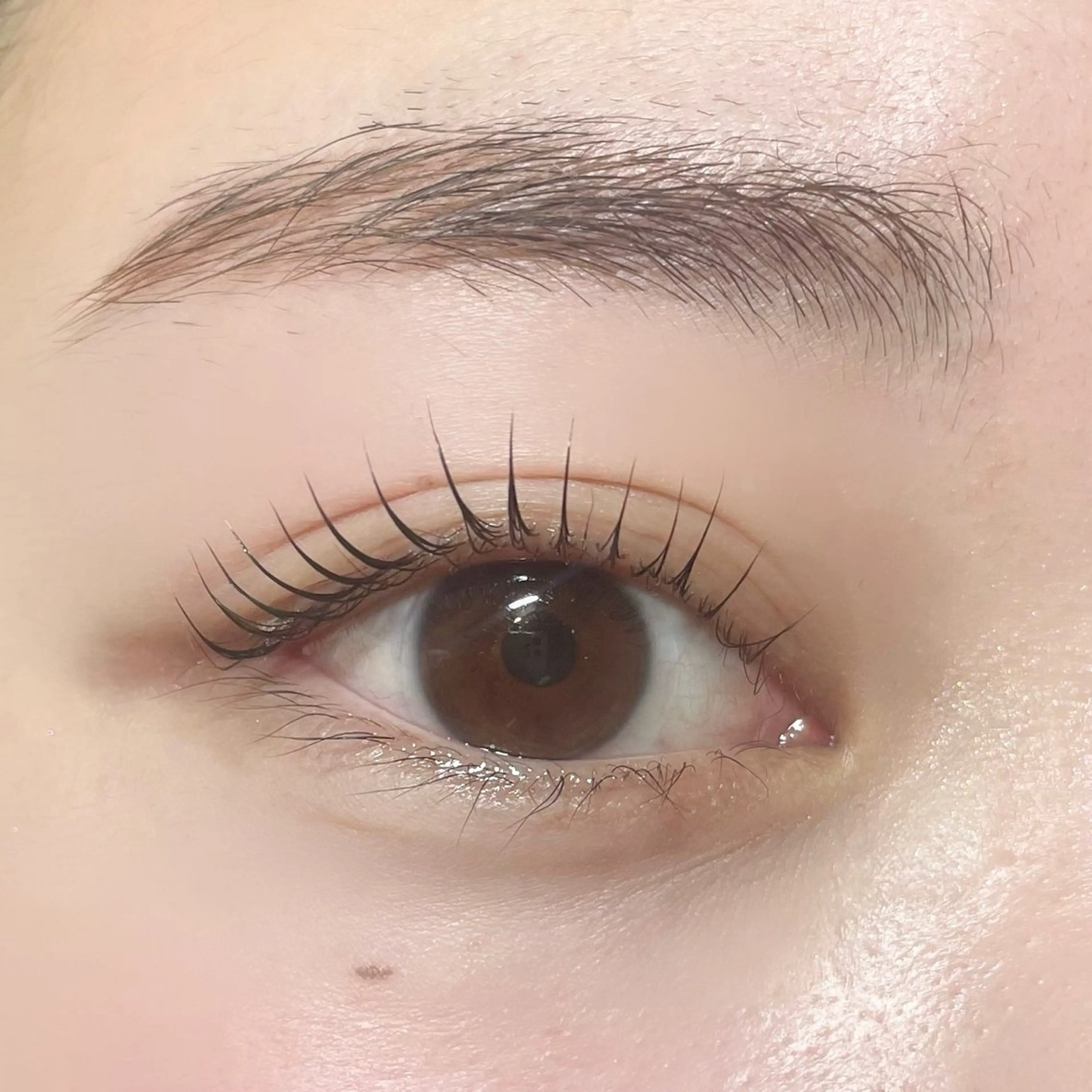 マツエク・マツパ マツパ 🧡MISUZU 京都Two🧡のマツエク・マツパデザイン