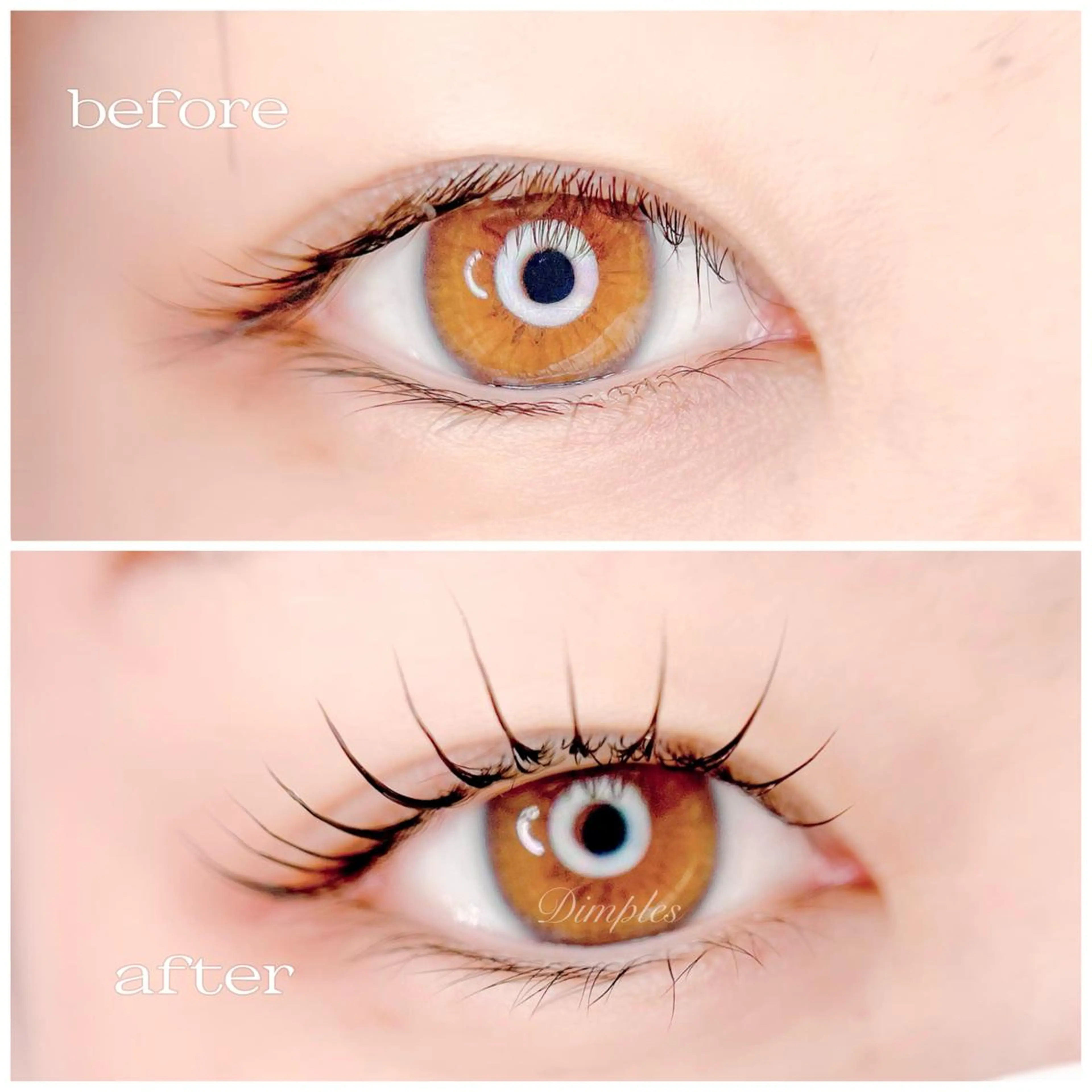 マツエク・マツパ Dimples所属・Dimples eyelashのエステ・リラクイメージ