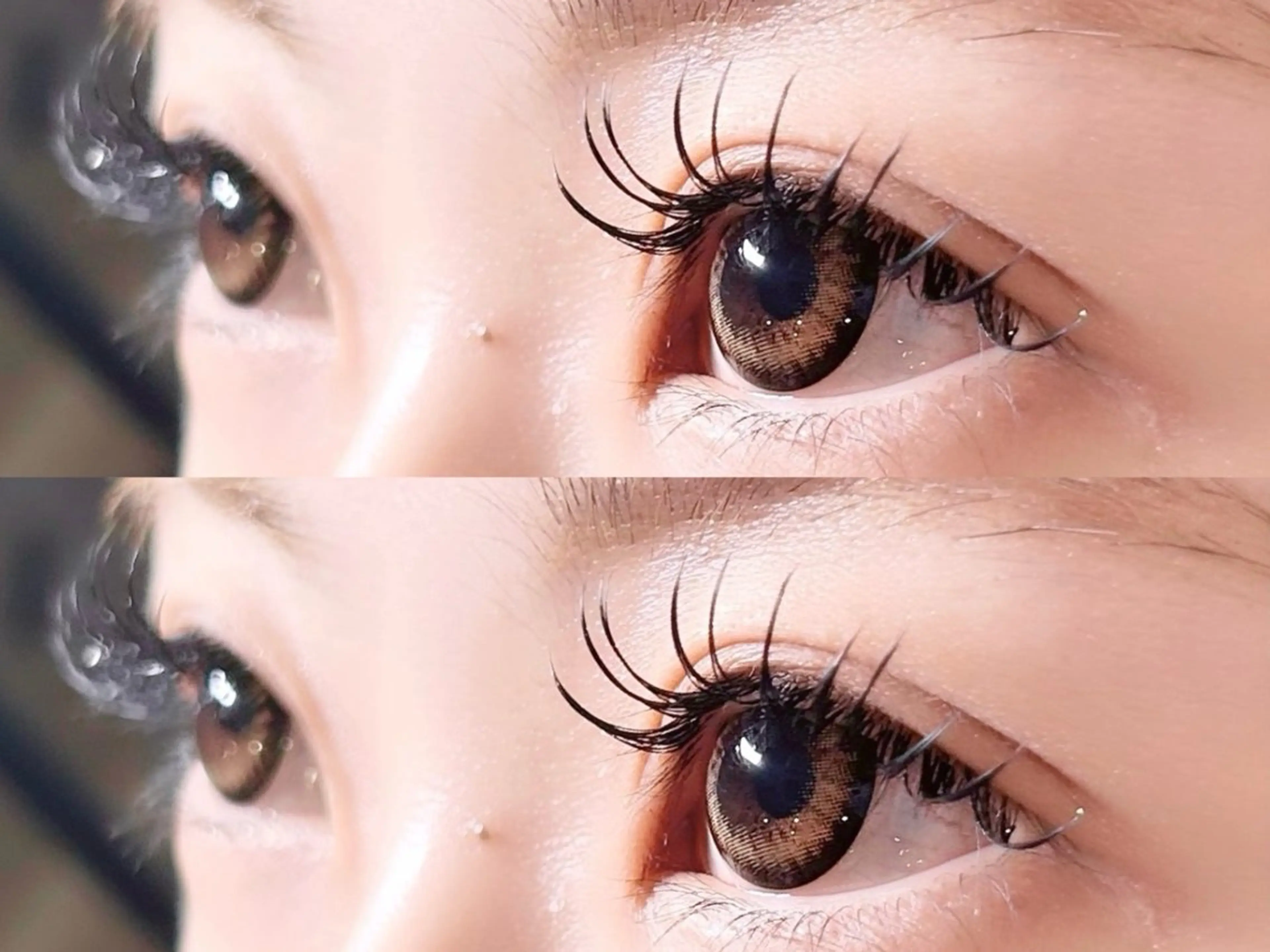 マツエク・マツパ マツエク 🤍amiLe 🫧Miyuki🤍の眉毛・アイブロウイメージ