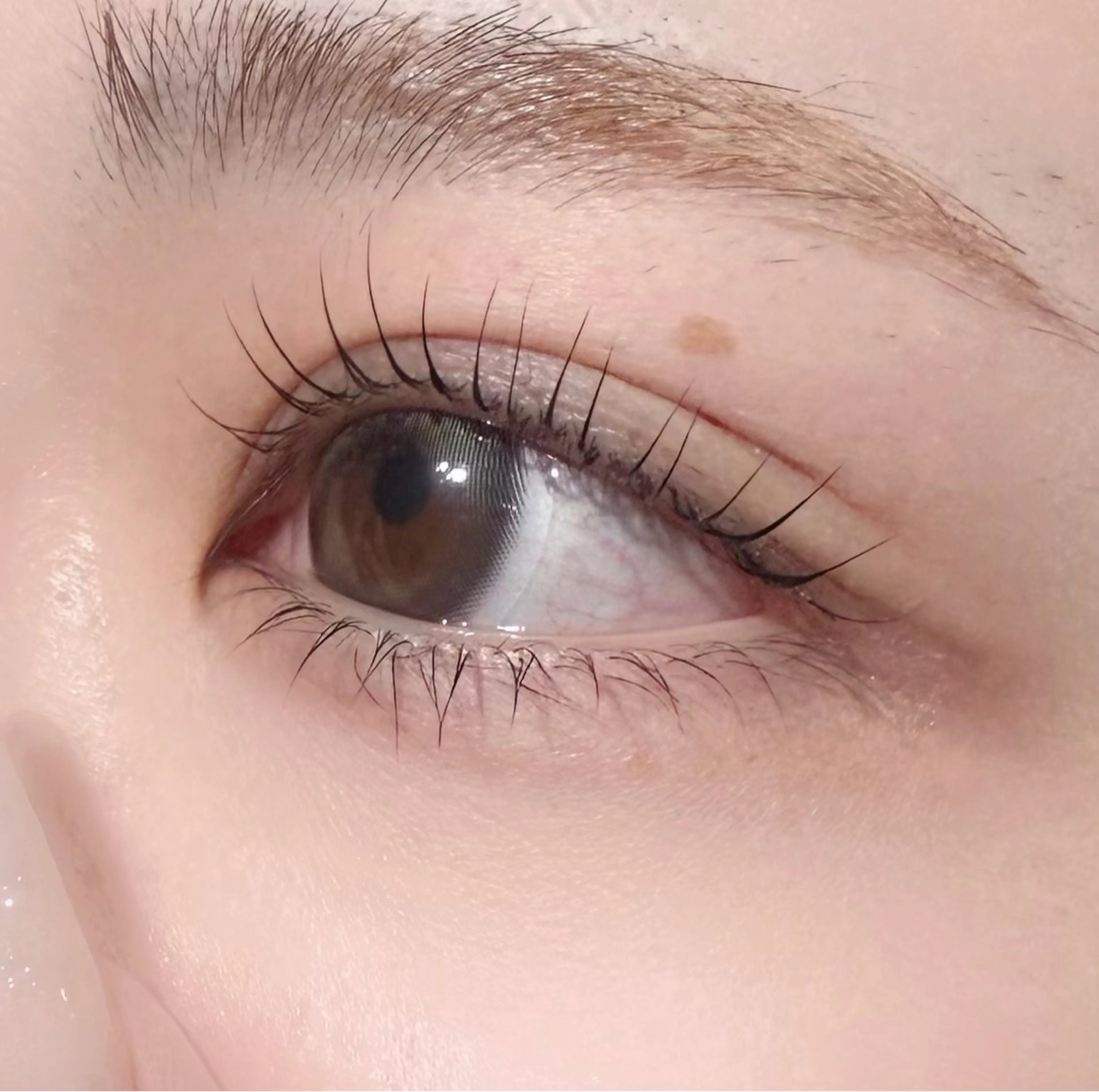 《4月限定大特価✨》まつ毛パーマ🎀(上下)の写真