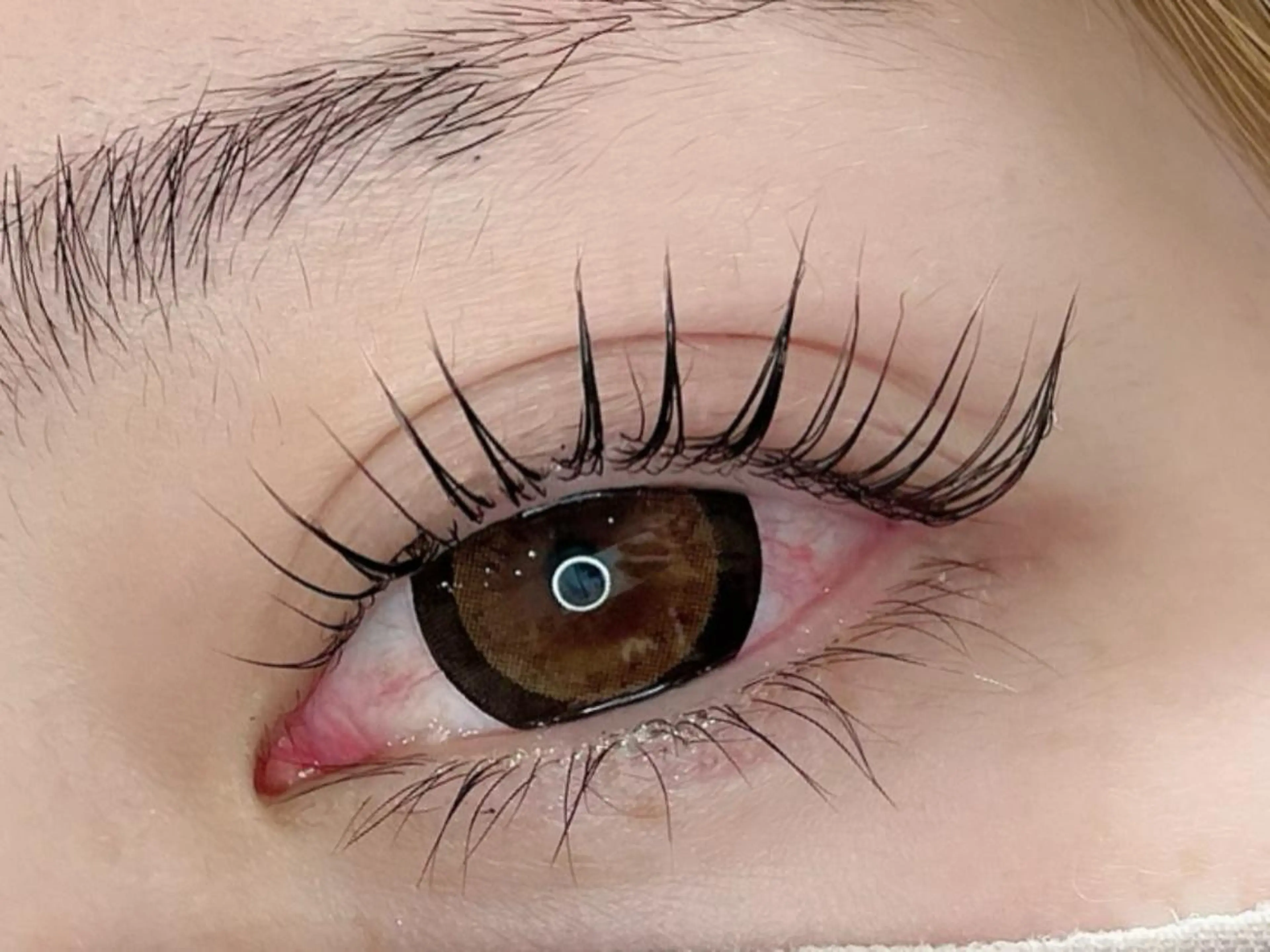 【本日19時00分～限定!!】パリジェンヌラッシュリフト☆コーティング仕上げの写真