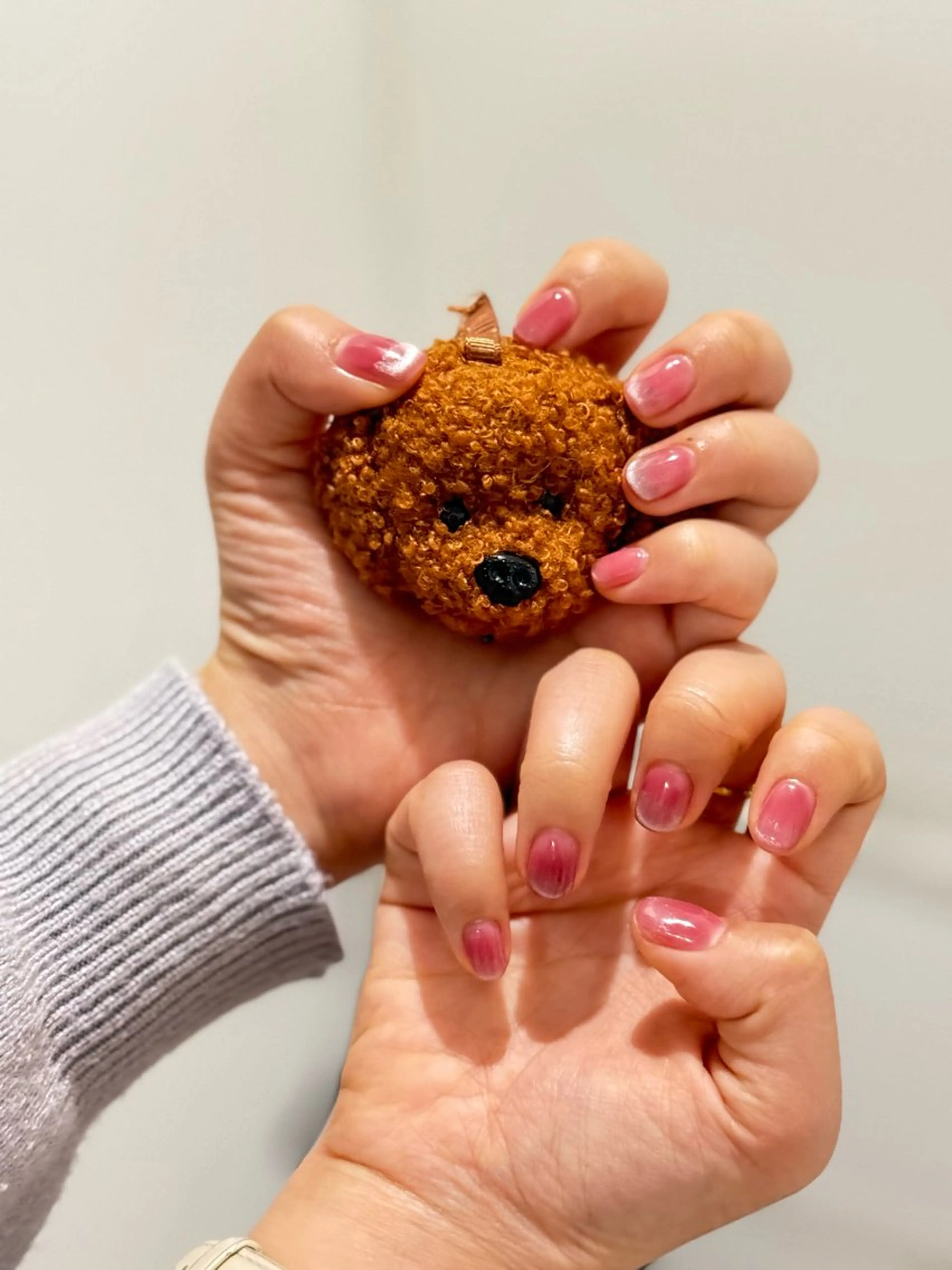 ワンホンネイル💅マグネットフレンチ🌟4980の写真