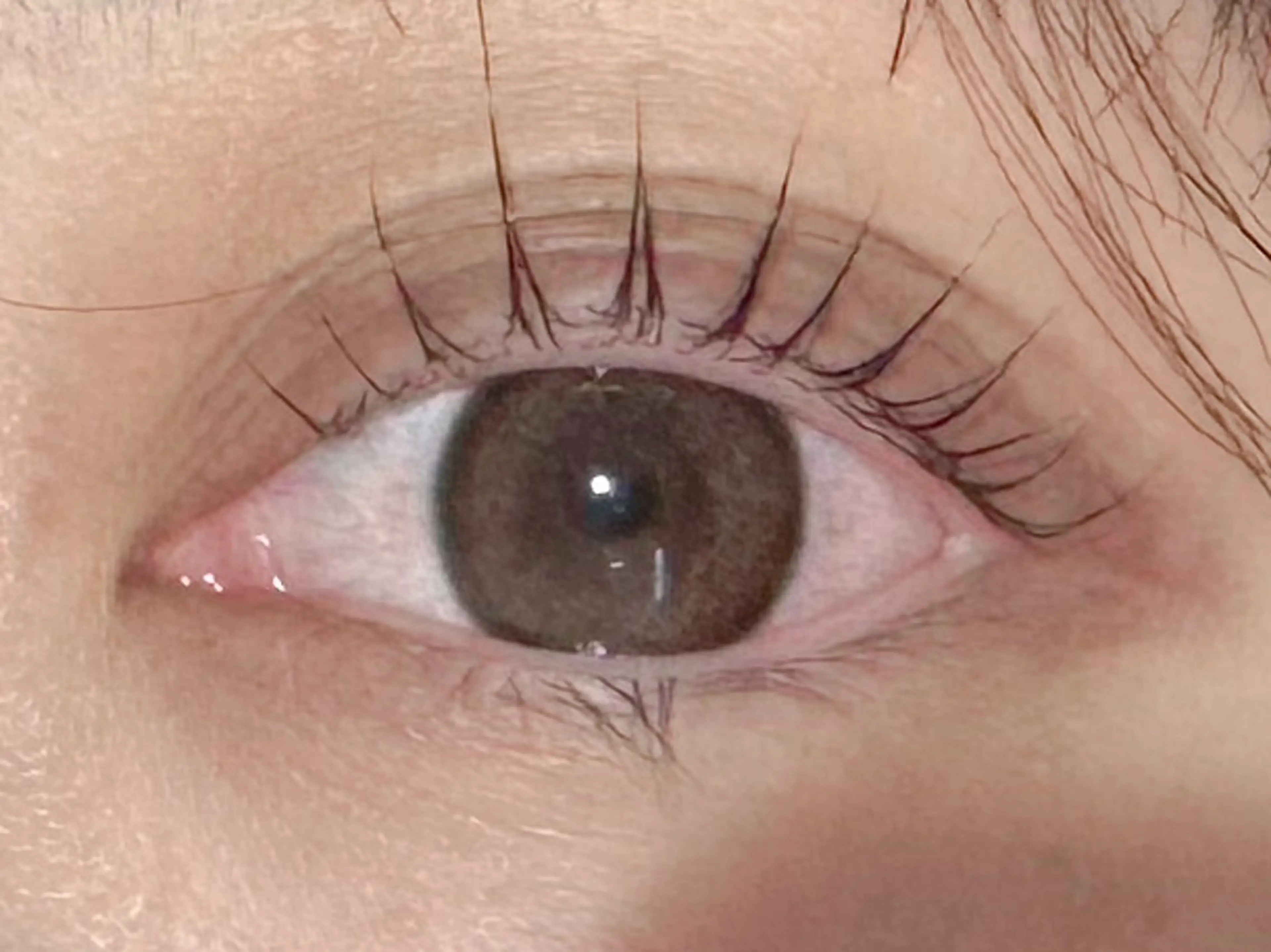 マツエク・マツパ LAUREL まつパ🌷Yuinaのマツエク・マツパデザイン