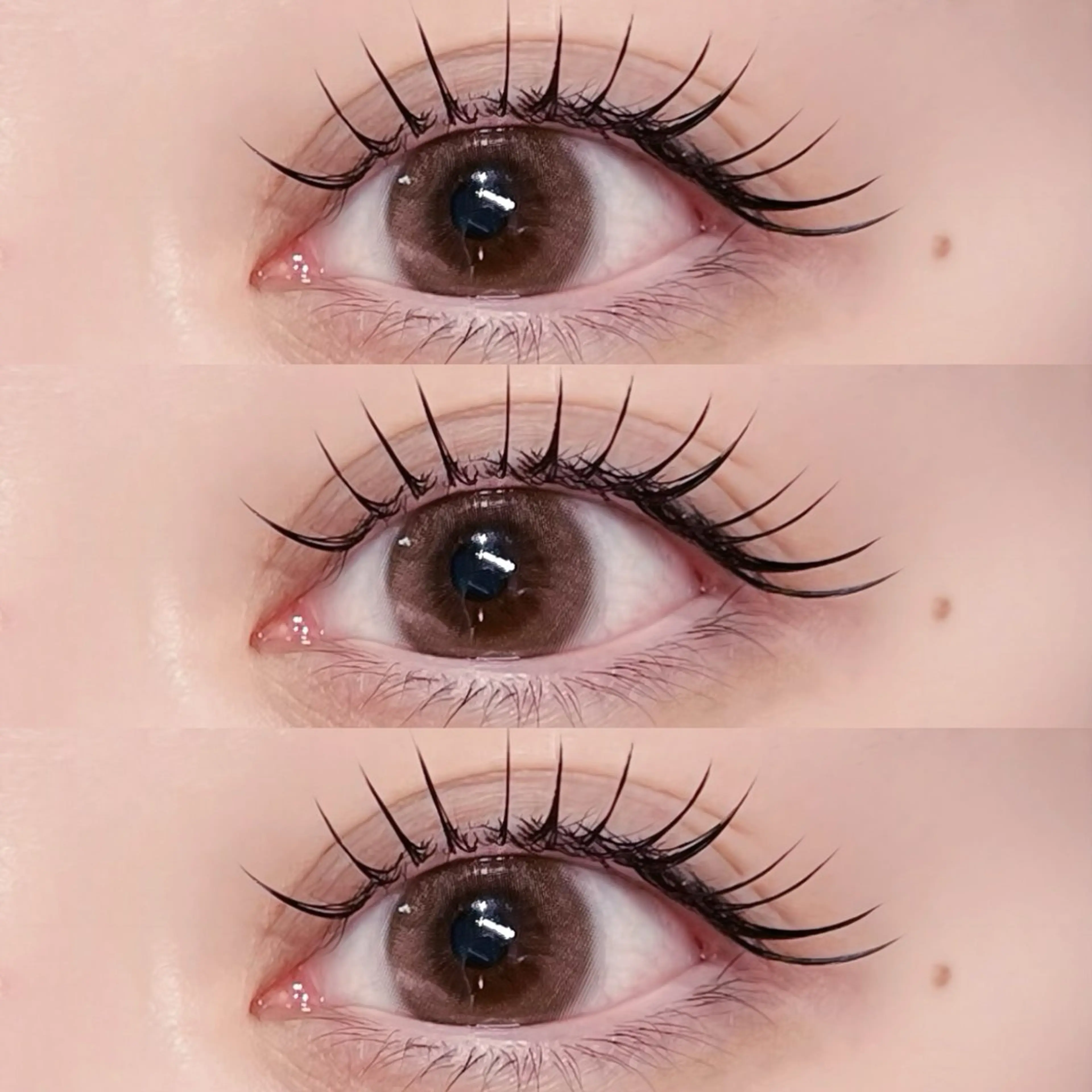 🎀期間限定🎀フラットラッシュ100本｜アイシャンプー＆束感コーティング(120本+¥500)の写真