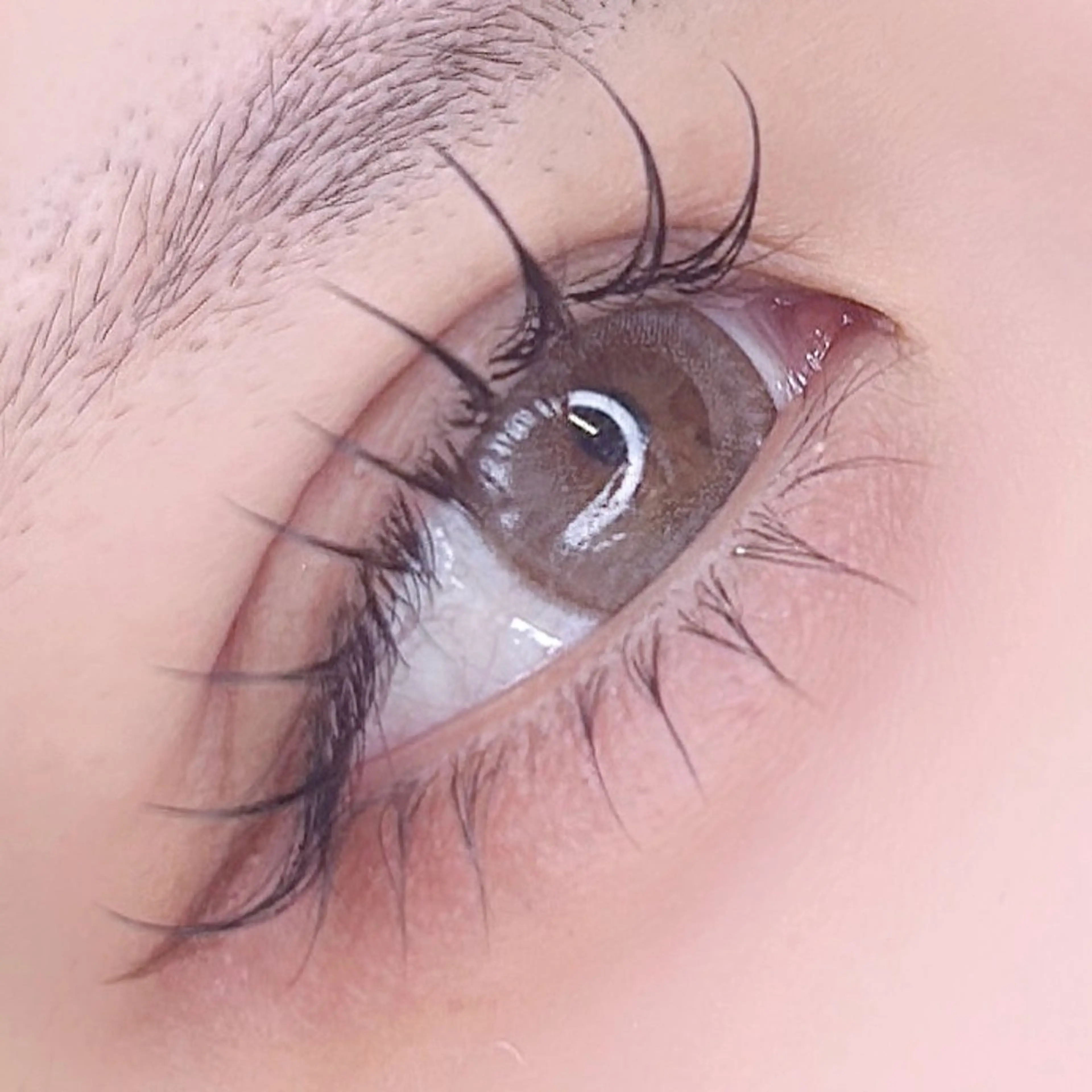 🎀新規様限定🎀flat lash 100本 +下まつげパーマ《オフ込み》束感仕上げ付き ✩の写真