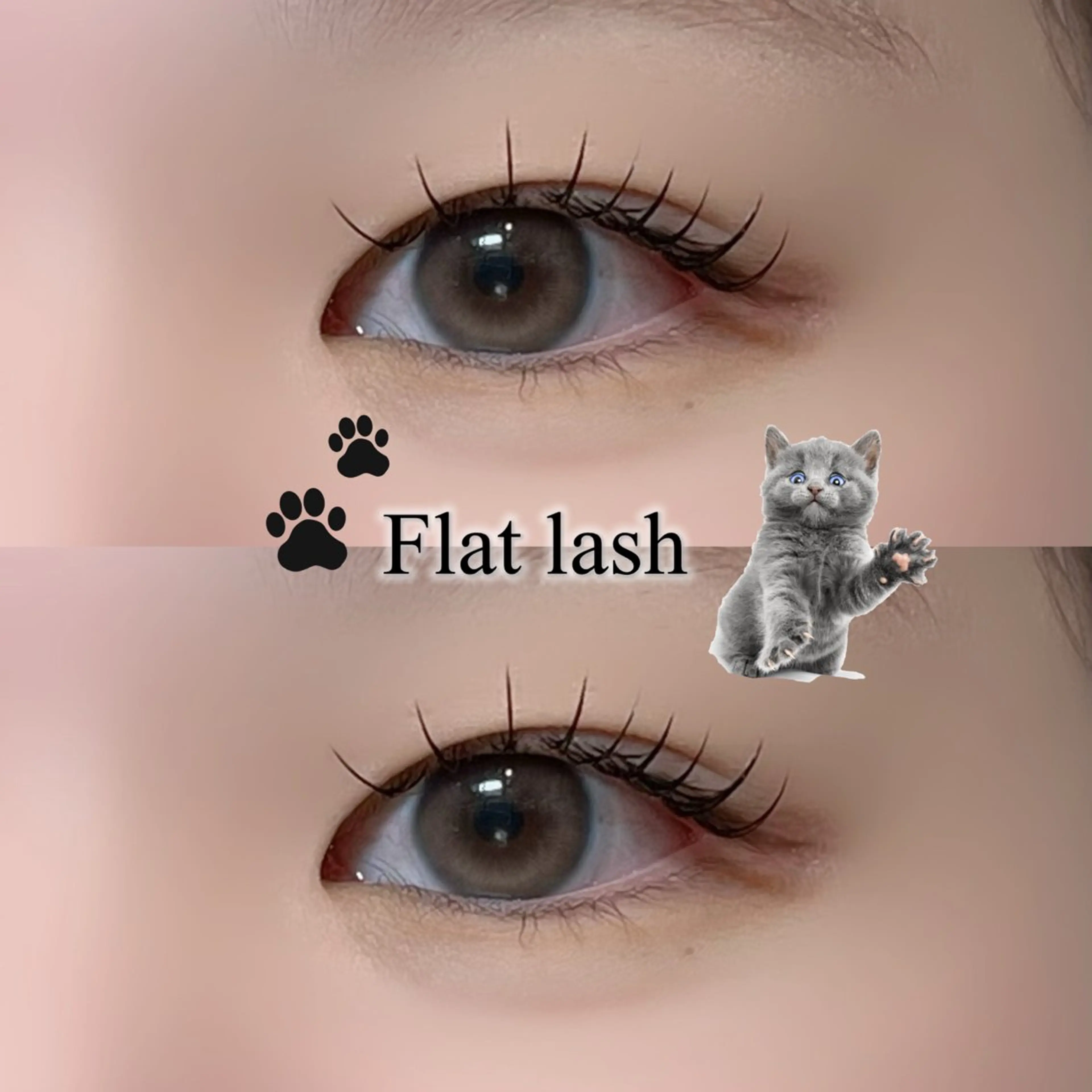 マツエク・マツパ 束感まつ毛 フラットラッシュ マツエク ayano🐾 eightのマツエク・マツパデザイン