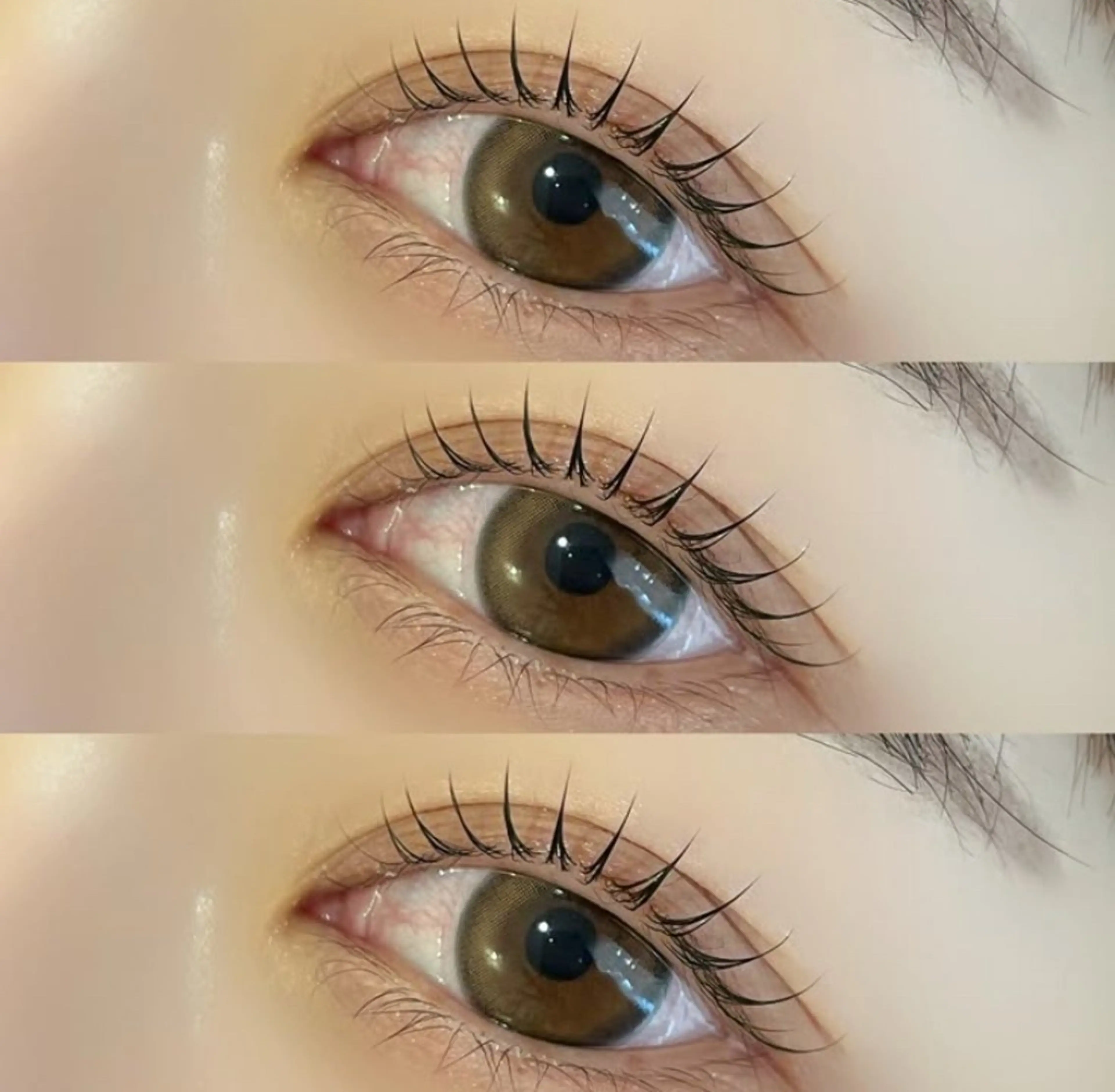 【期間限定¥1440‼️】韓国風束感まつげパーマ🇰🇷✨の写真