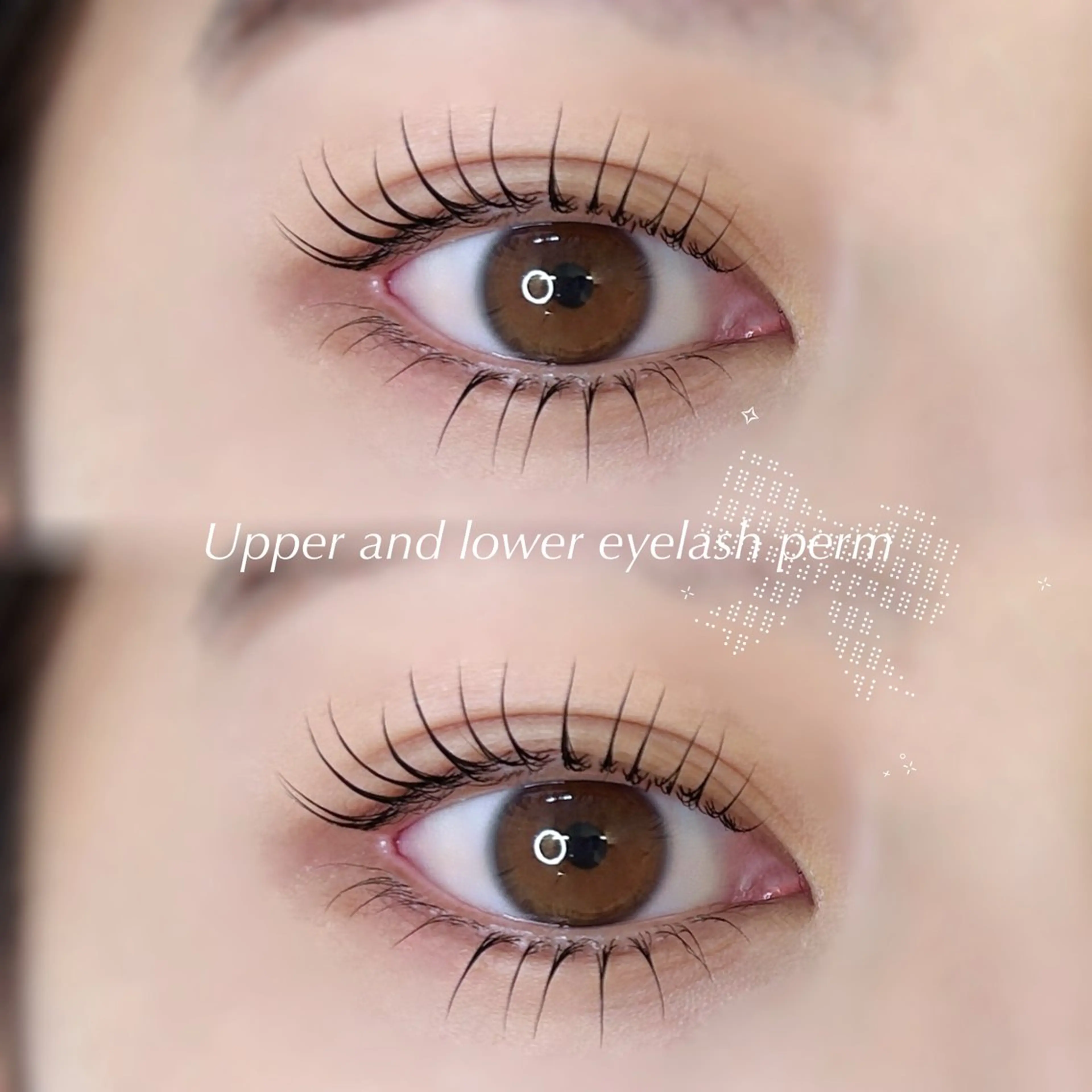マツエク・マツパ まつげパーマ 下まつげエクステ kurumi🍒◝✩ /amii新宿のマツエク・マツパデザイン