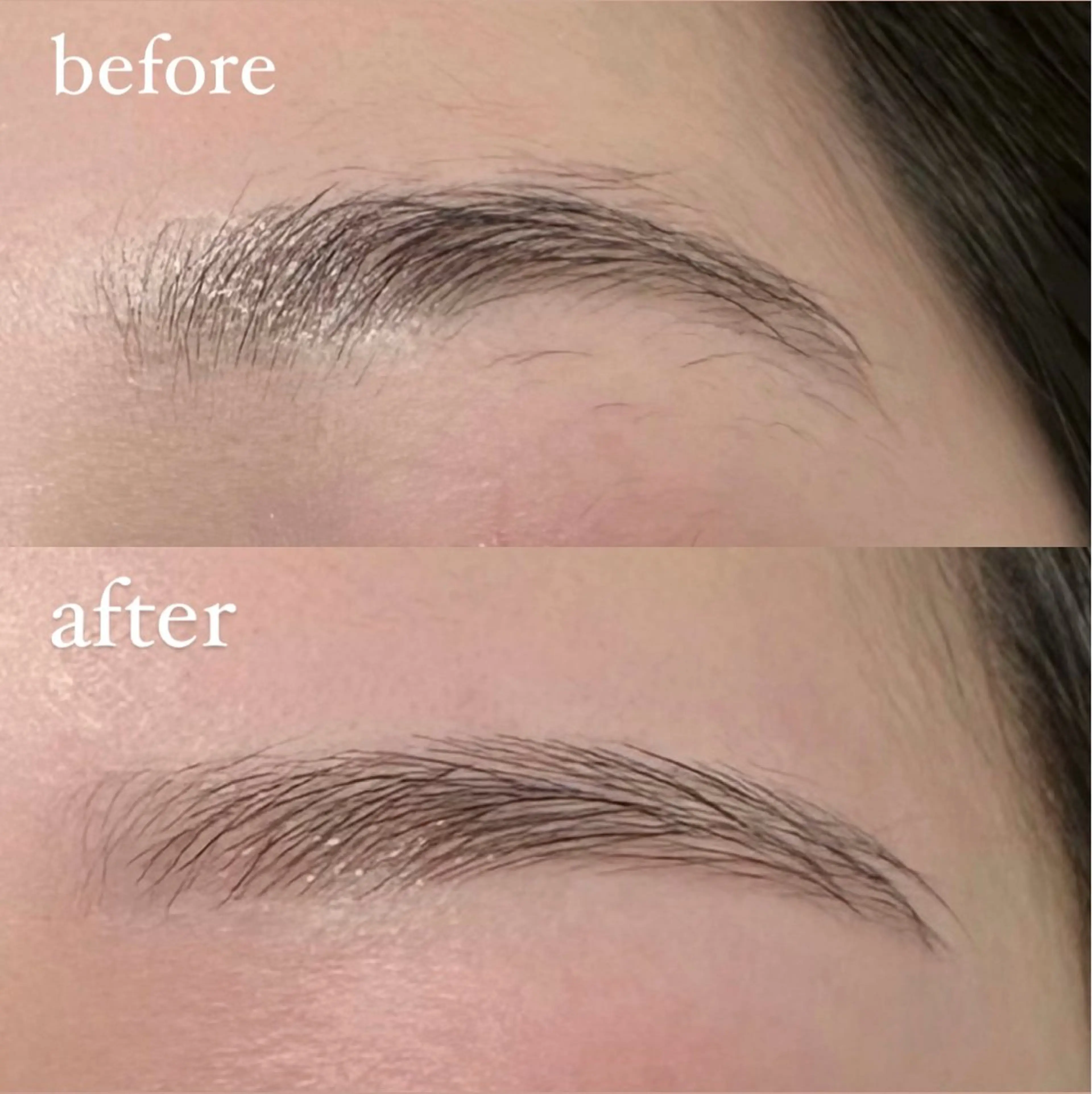 レディースアイブロウスタイリング×カラーリングSET¥6500(遅刻不可)🩵の写真