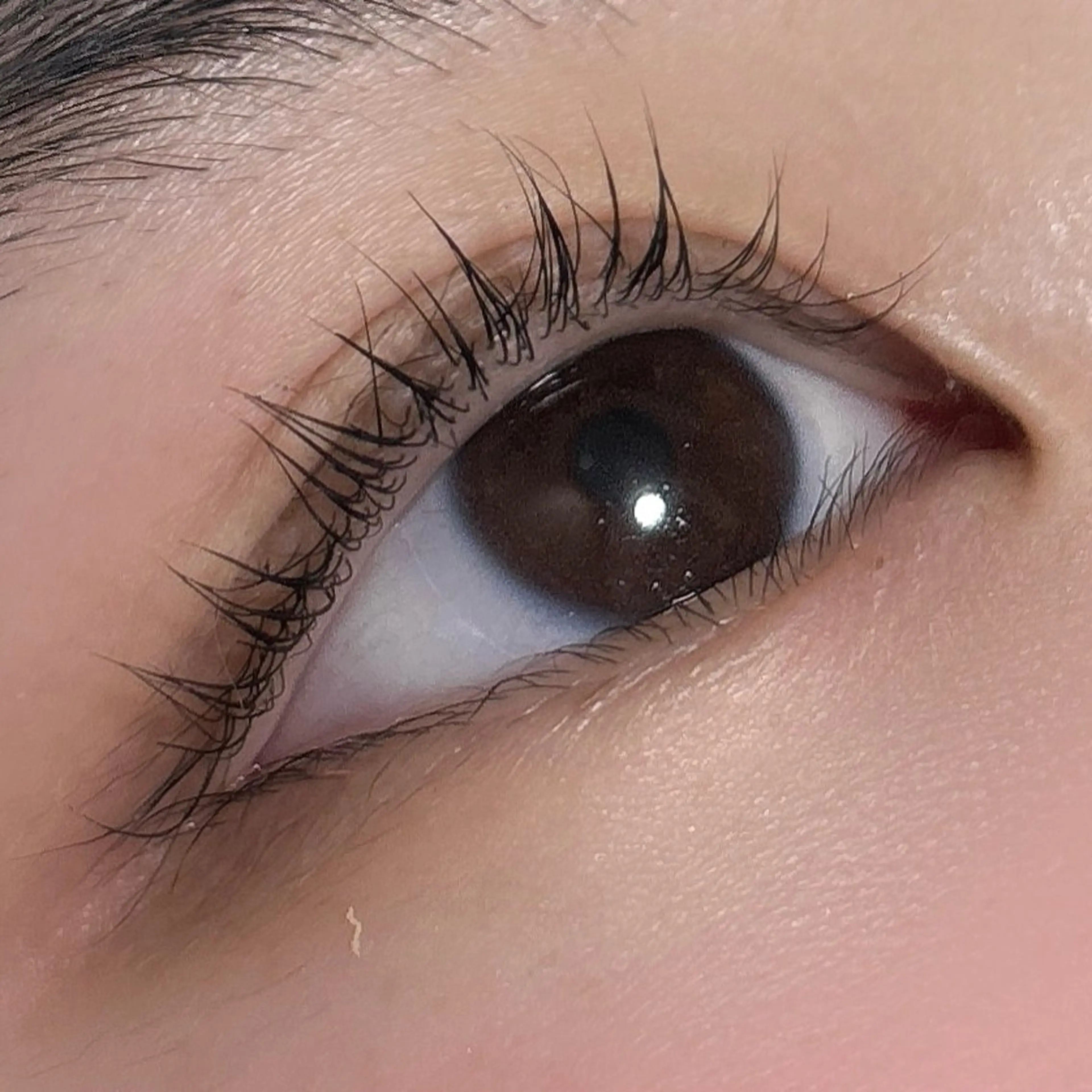 マツエク・マツパ ナチュラル 一重×まつ毛パーマ りんこ RINKOの眉毛・アイブロウイメージ