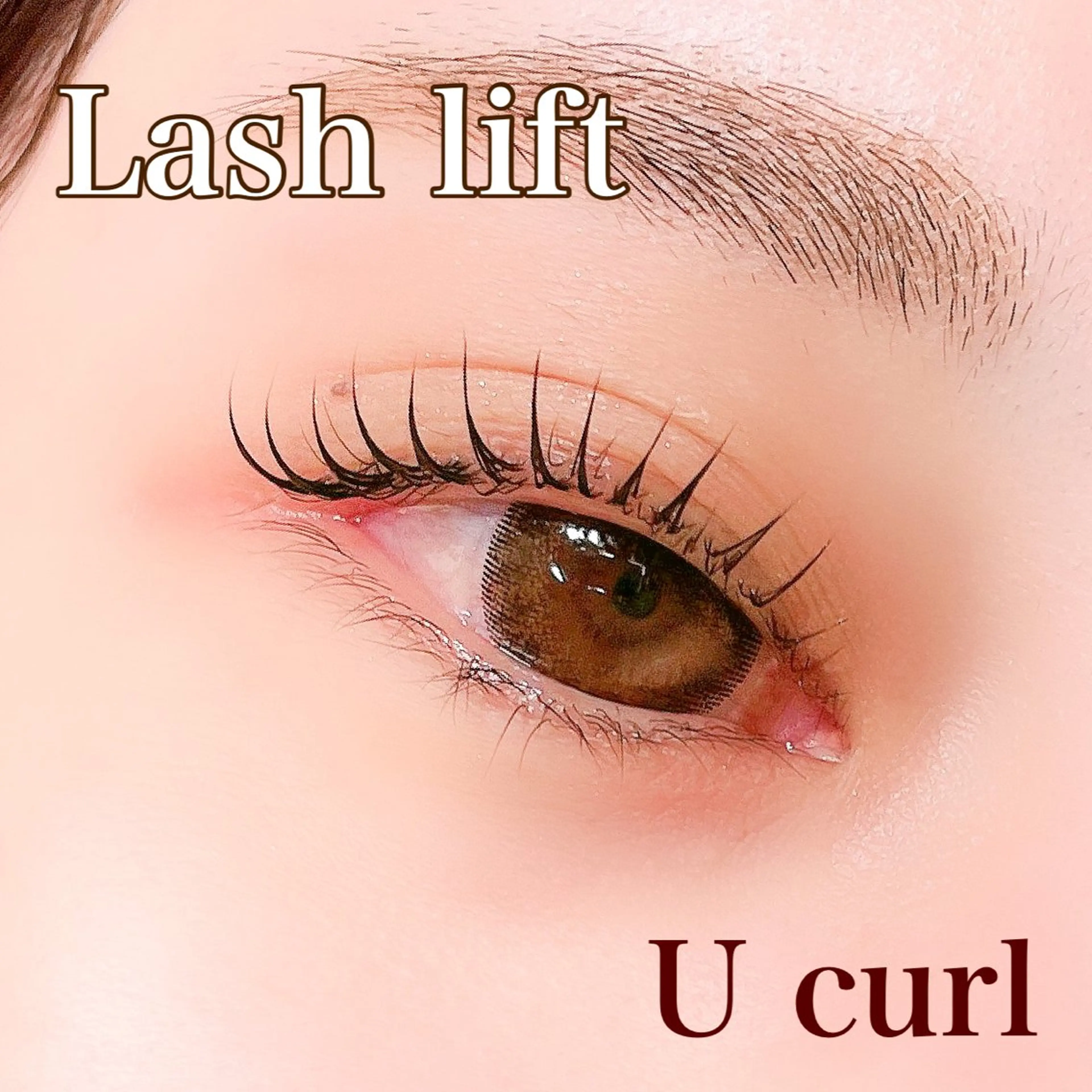 育休復帰✨️練習モデル【上まつ毛パーマ】の写真