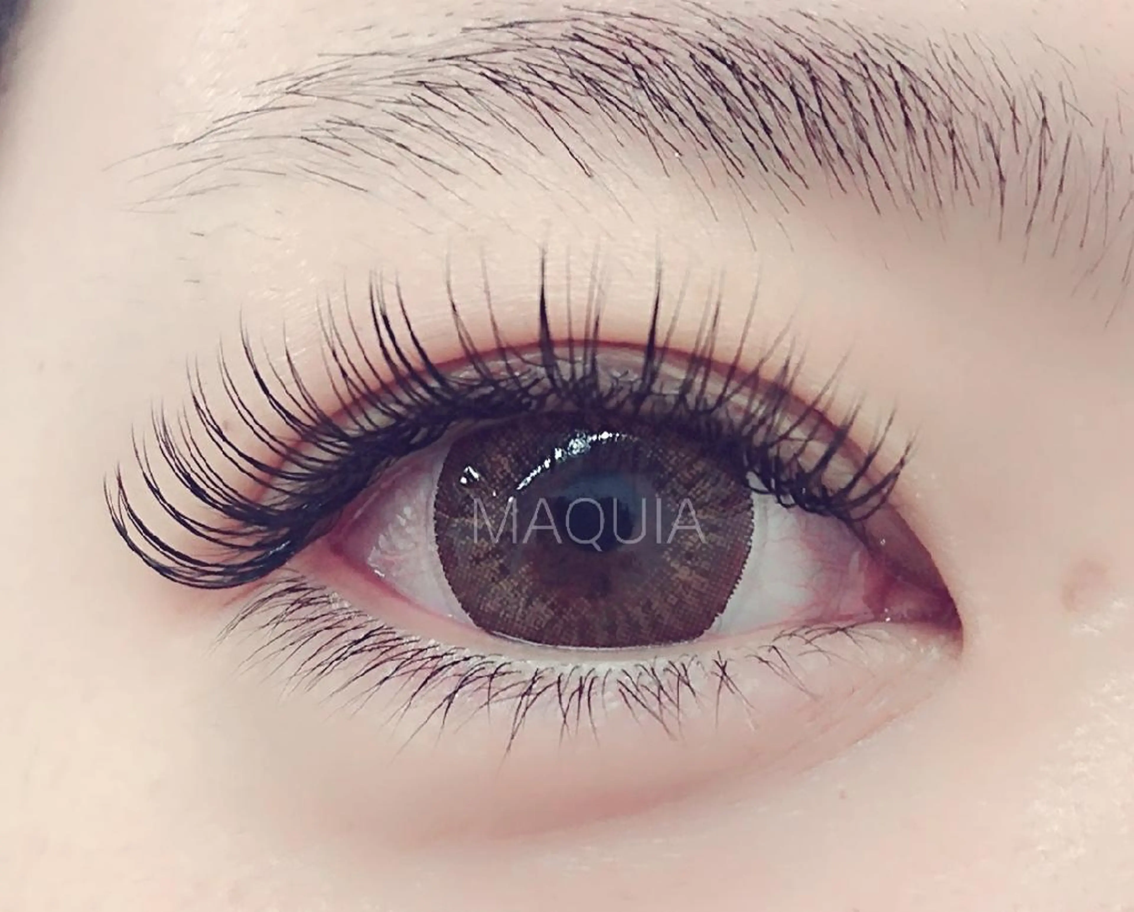 【初回限定】ミンク上130本★￥5000（オフ無し）の写真