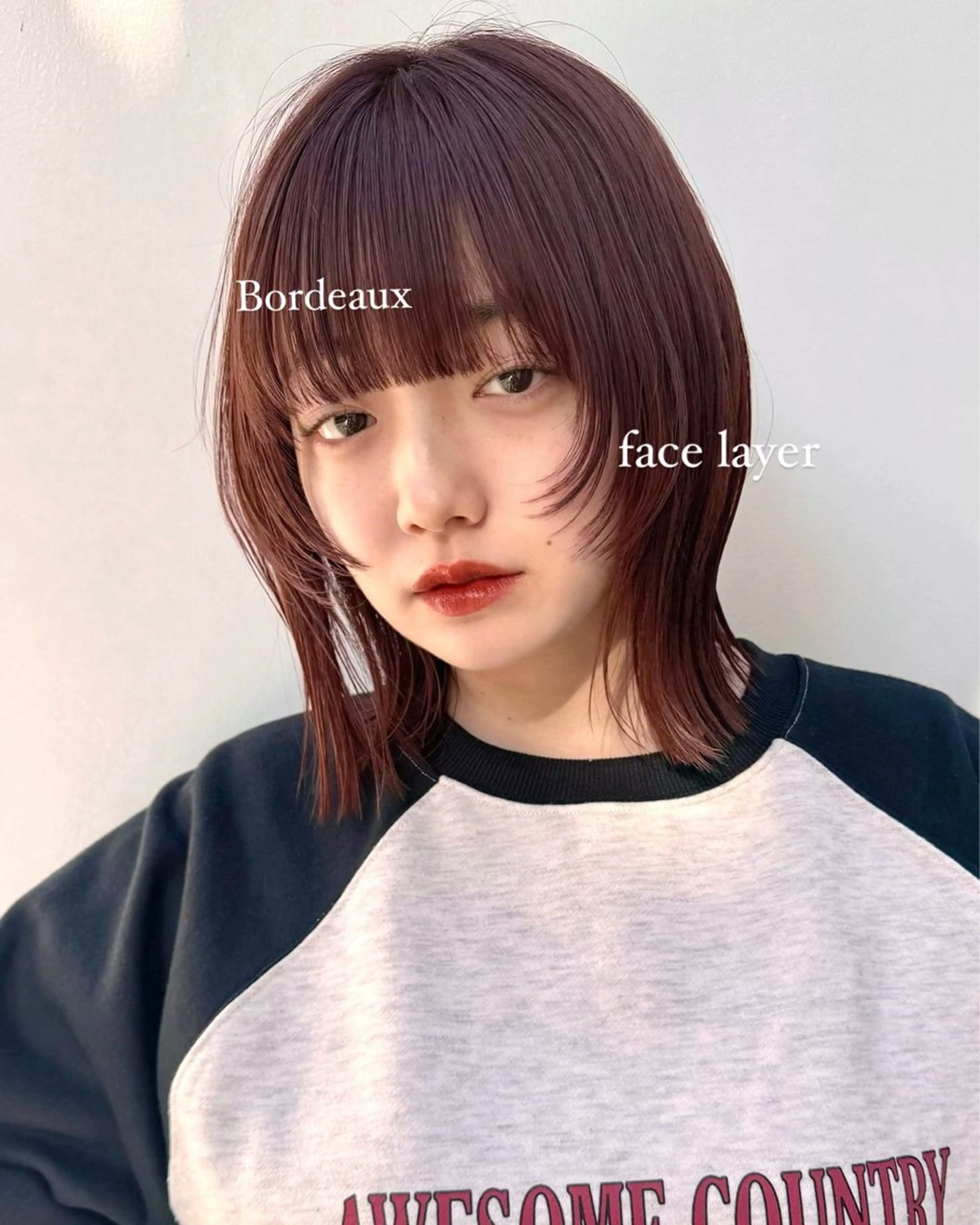 🎀当日限定🎀　　　　　　　　　　　　　　　　　　　　似合わせカット＋プレミアム生カラー＋4STEPトリートメントの写真