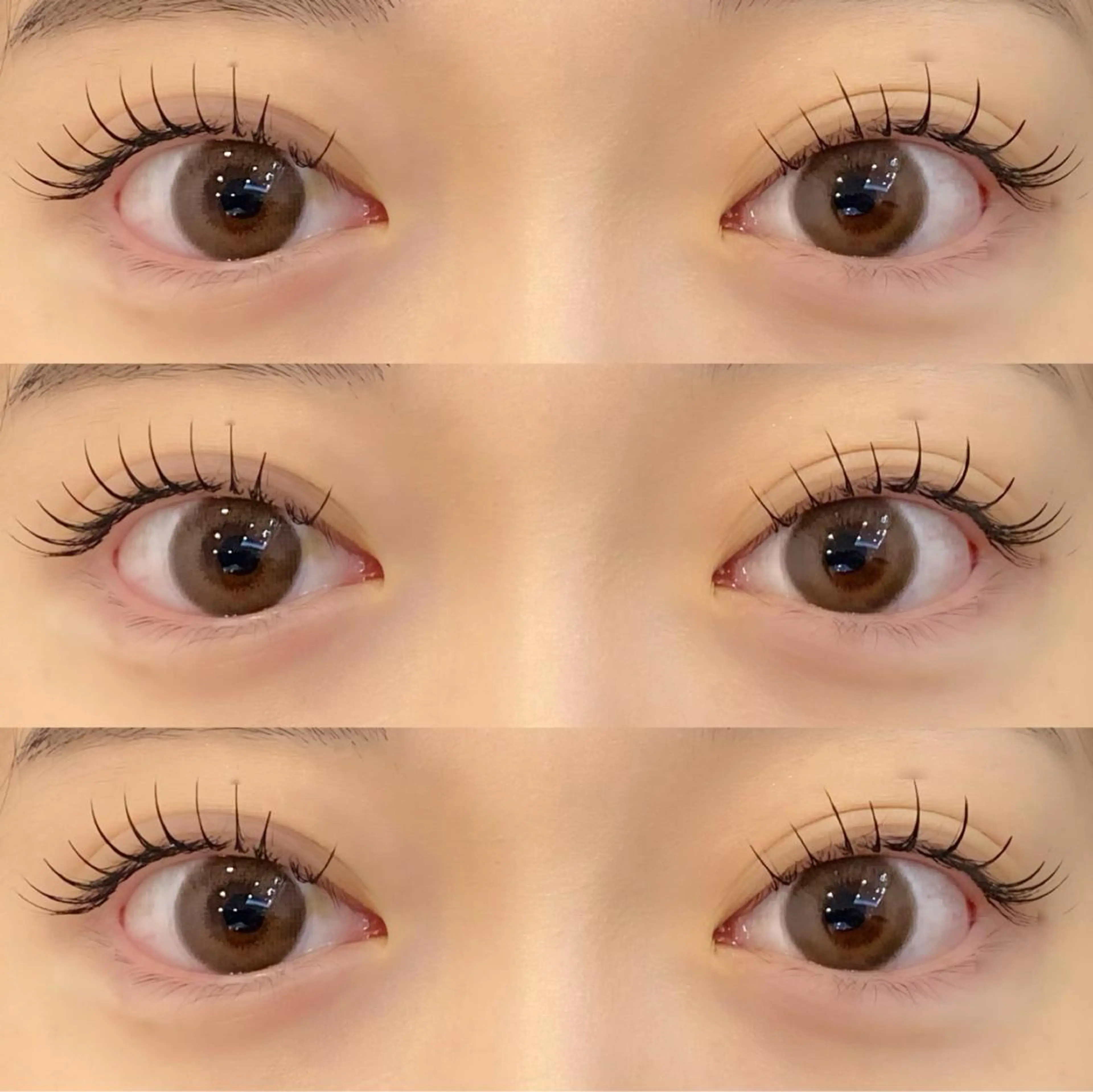 2回目以降の方💗プレミアムカシミヤ💗上100本までつけ放題（オフ、コーティング込み）の写真