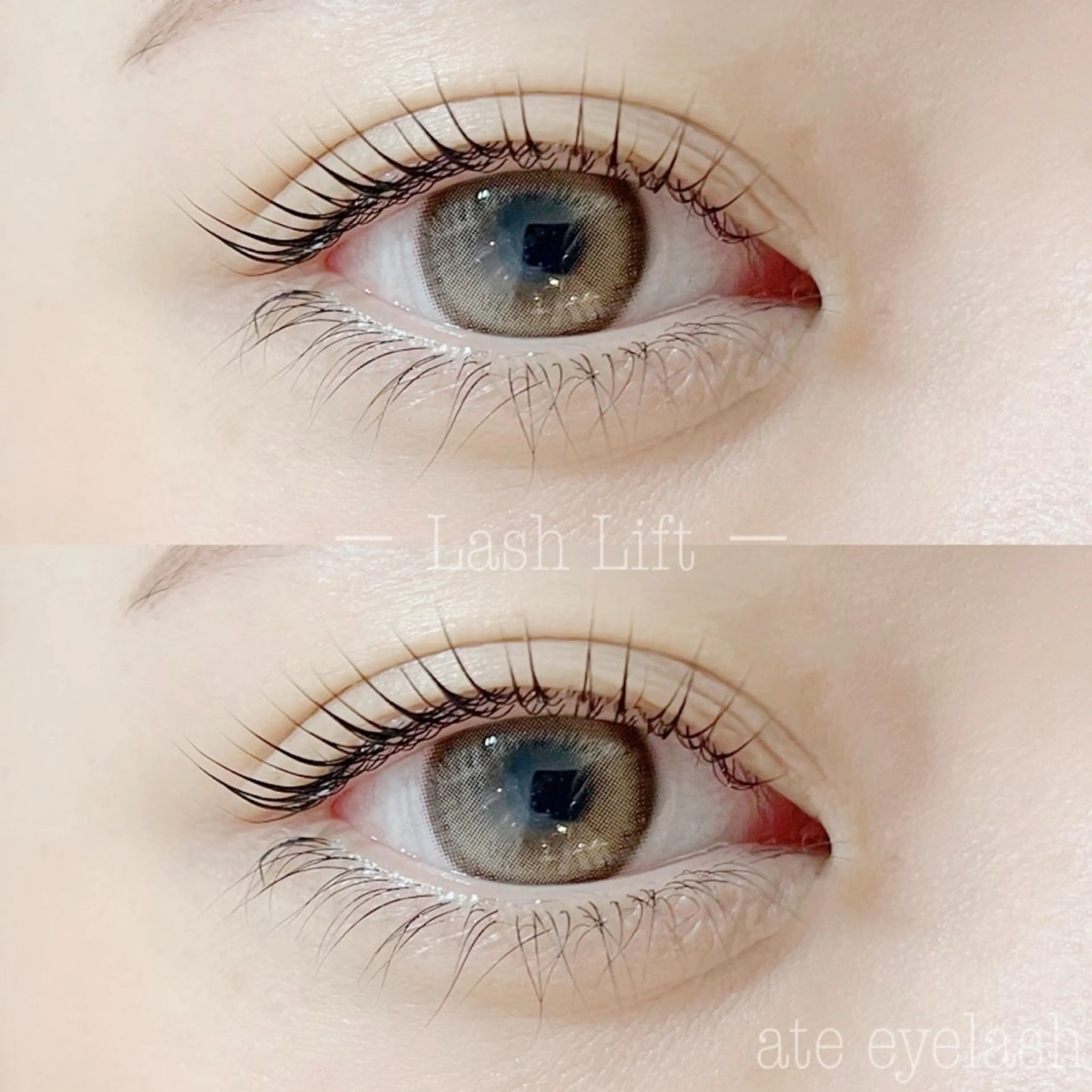 パリジェンヌ(コーティング有)の写真