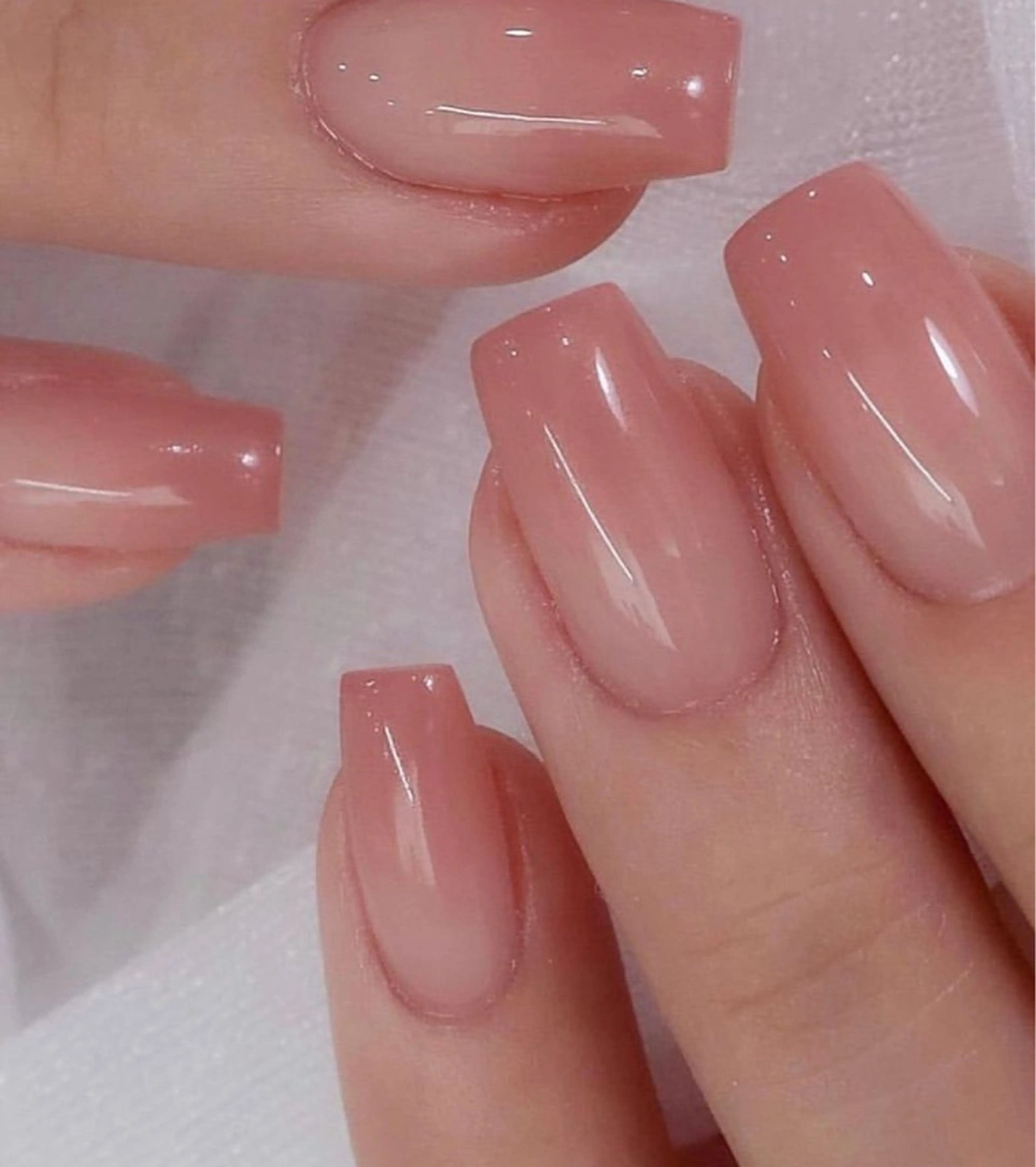 グラデーションの写真