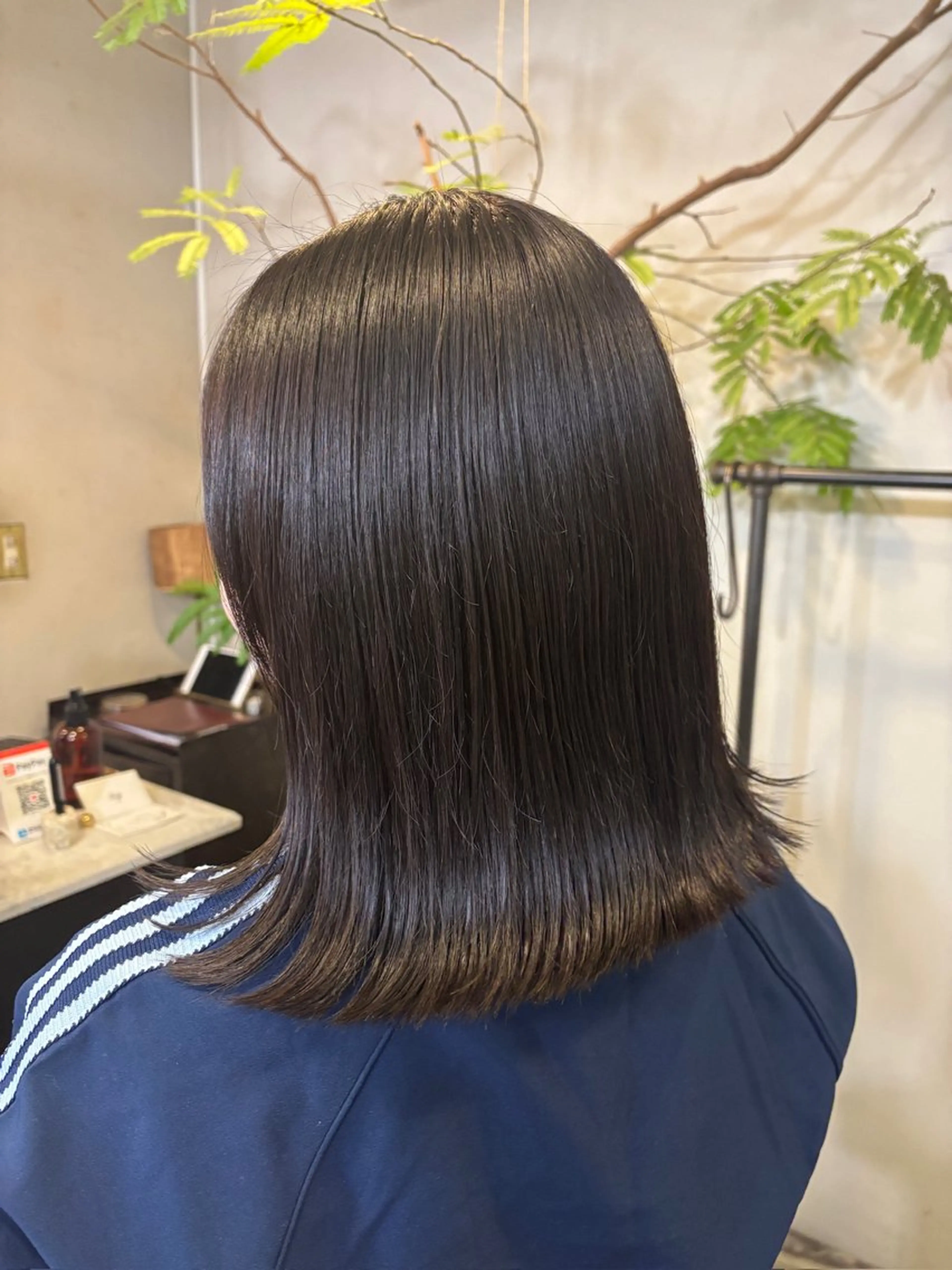 ワンカラーの写真