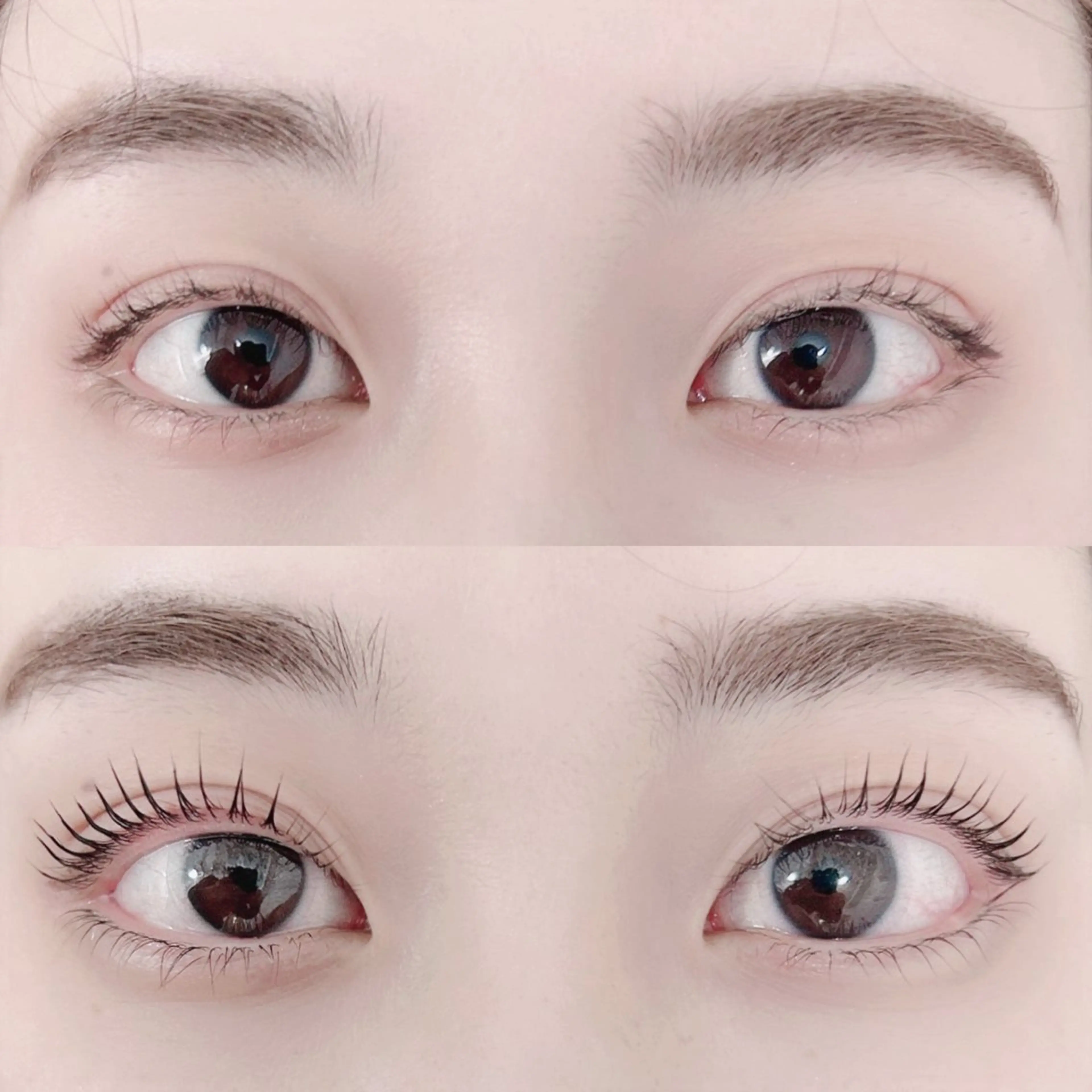 マツエク・マツパ パリジェンヌラッシュリフト マツパ eyelash Aoのマツエク・マツパデザイン