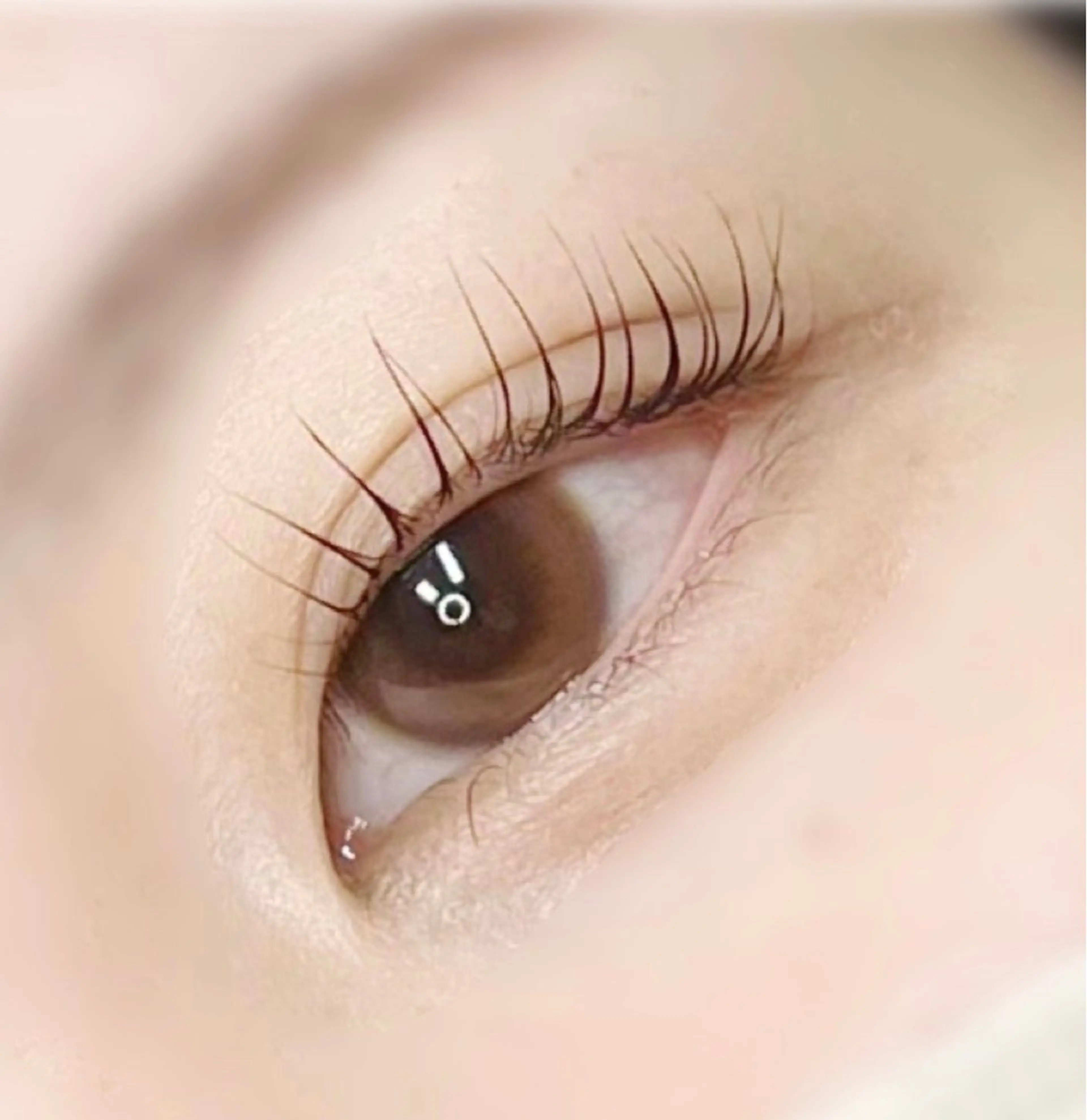 マツエク・マツパ マツパ 与那原東浜rEINE まつ毛パーマのマツエク・マツパデザイン