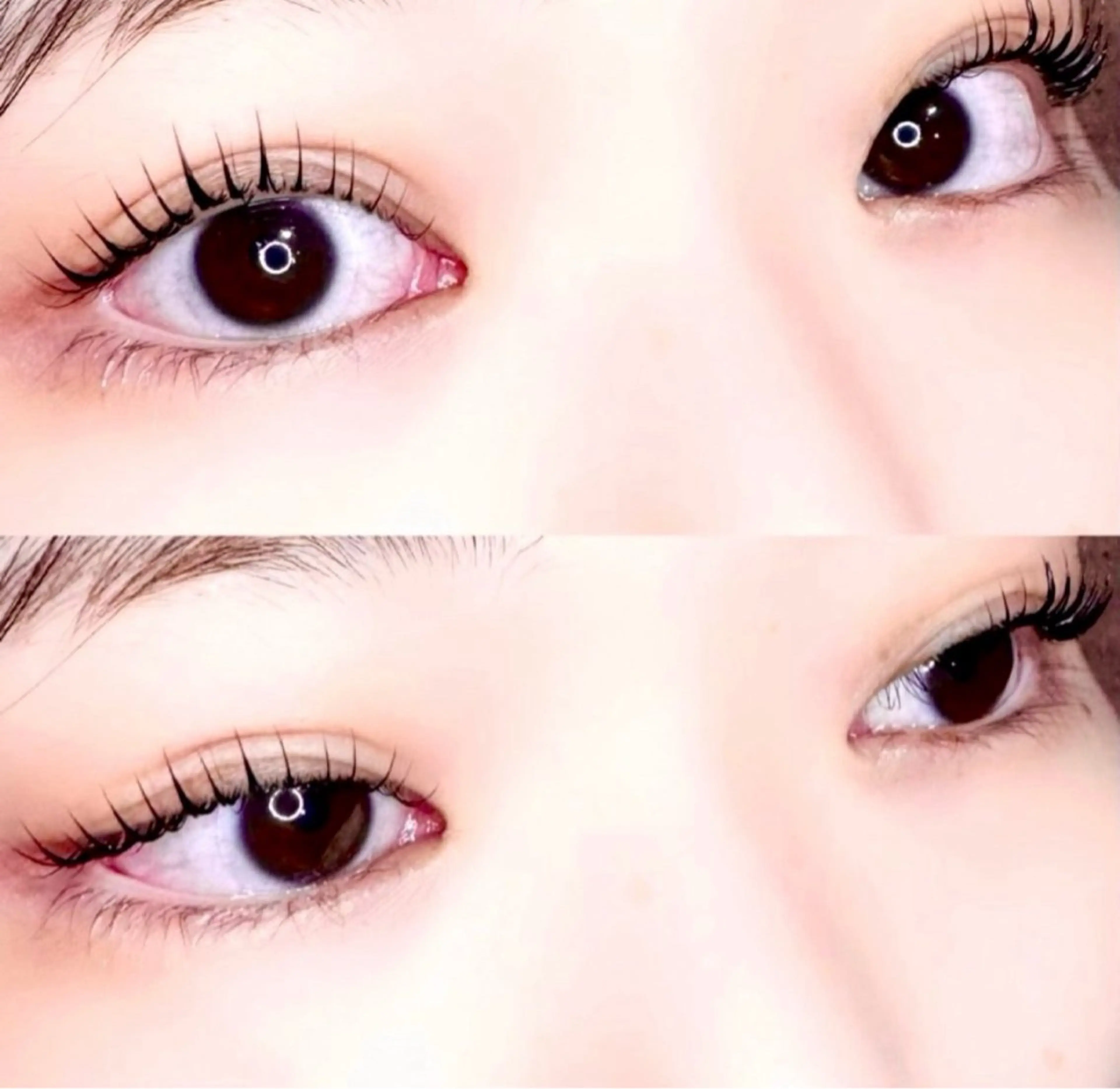 マツエク・マツパ マツパ 🦖fein. YUINA🦕⋆͛のマツエク・マツパデザイン