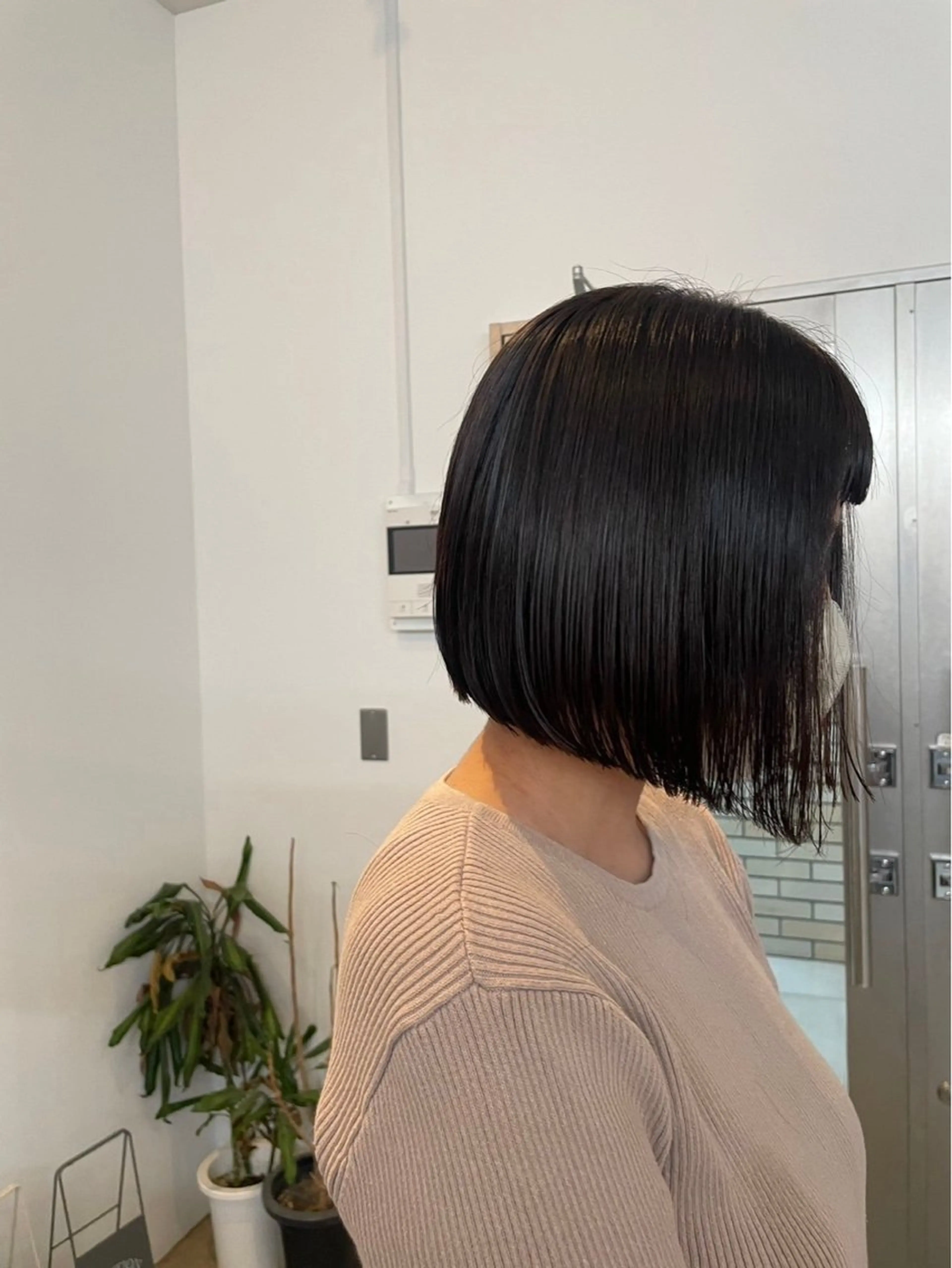 レディースカットの写真