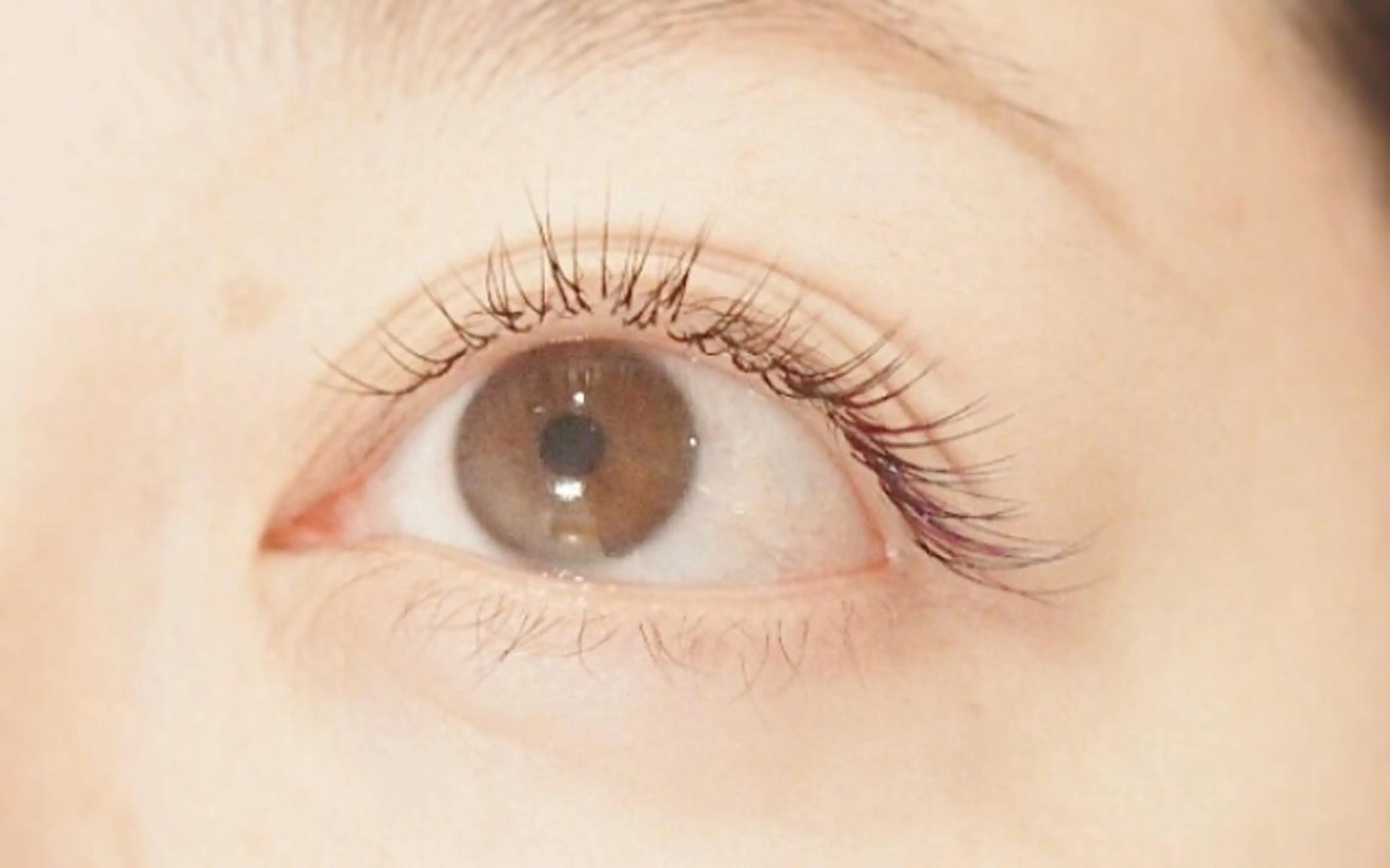 マツエク・マツパ ナチュラル セーブル 💜bora .のネイルデザイン